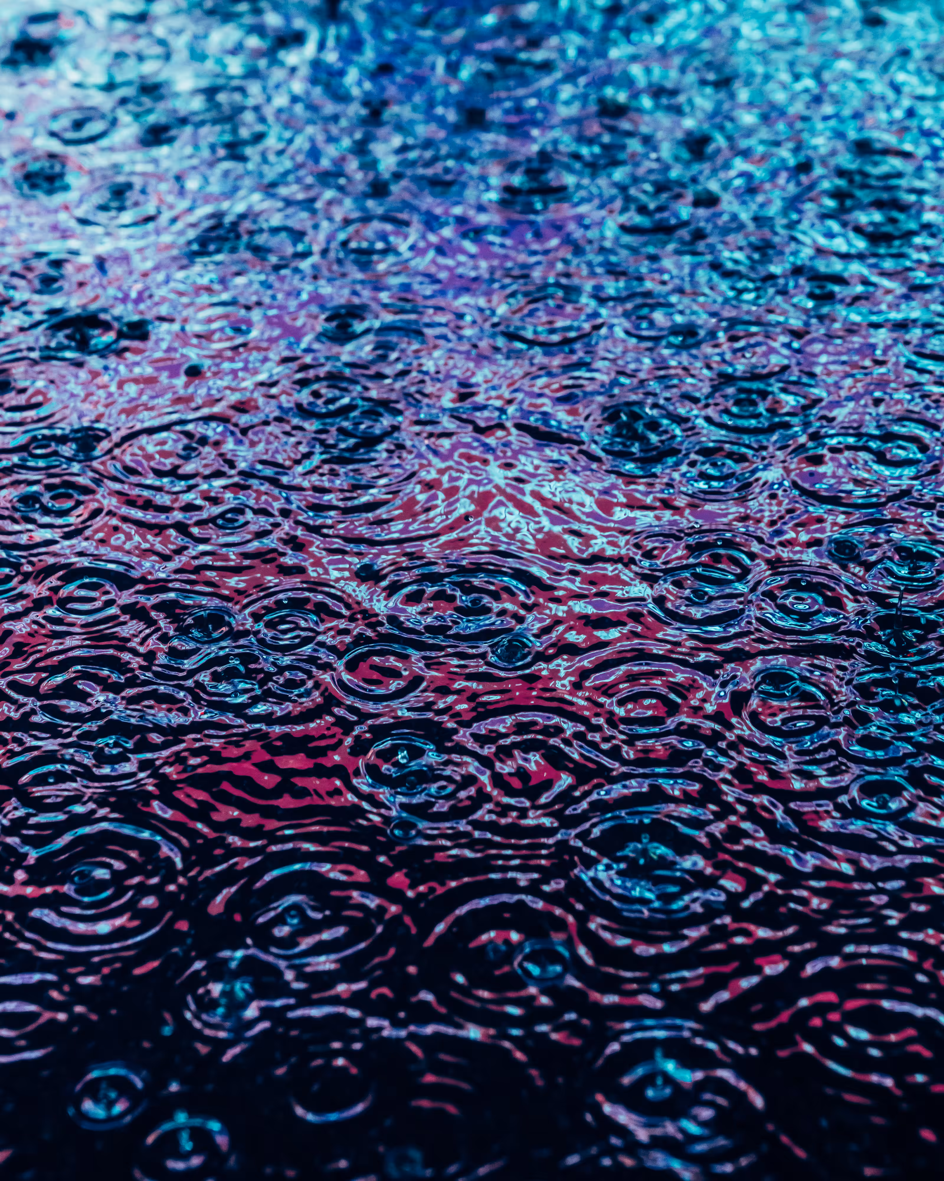 DRIP DROP: DRIP #337