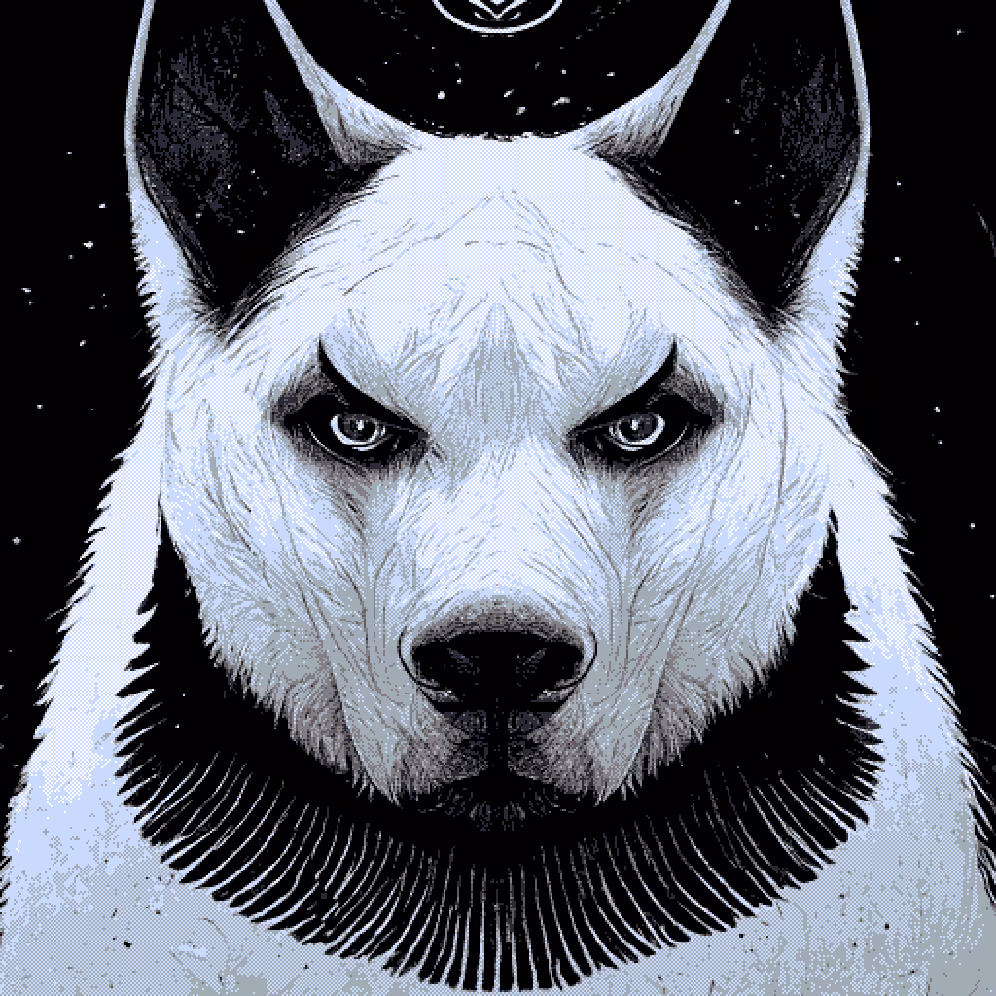 Silver Husky