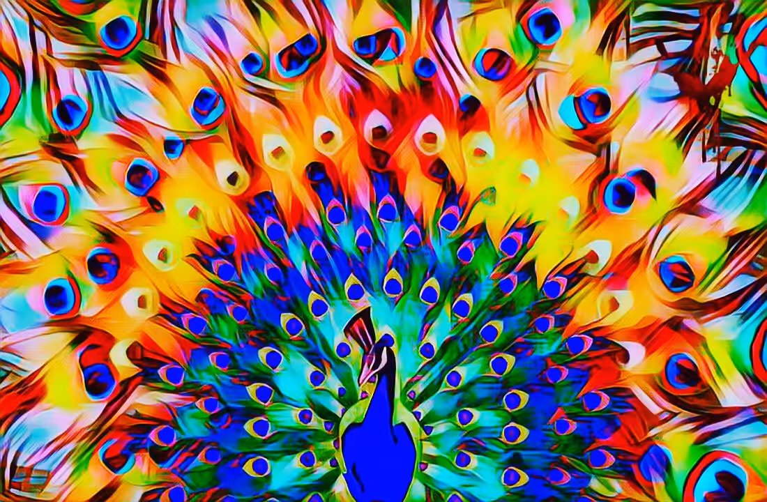 Peacock's Pride 