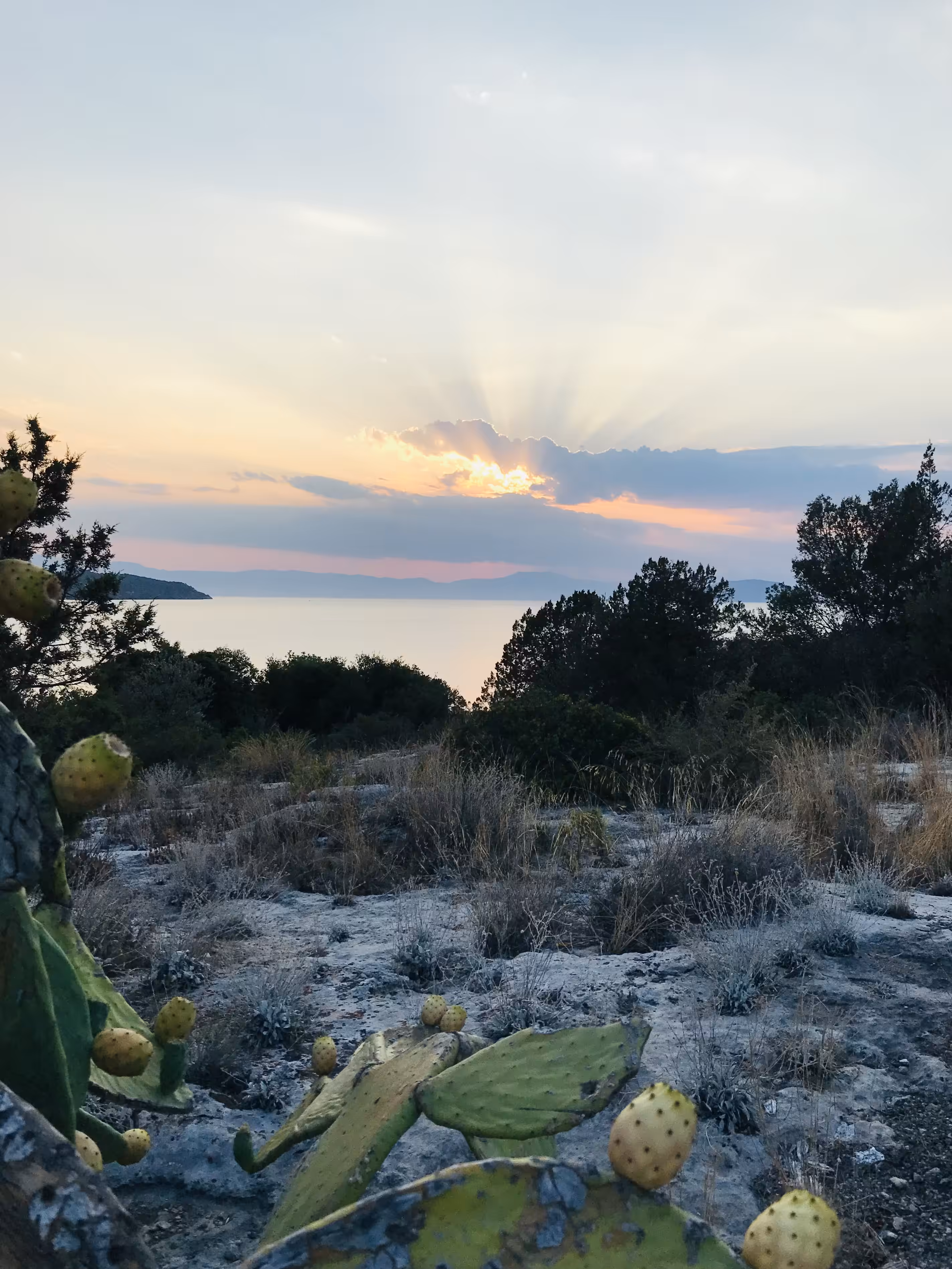 The lights of a sun