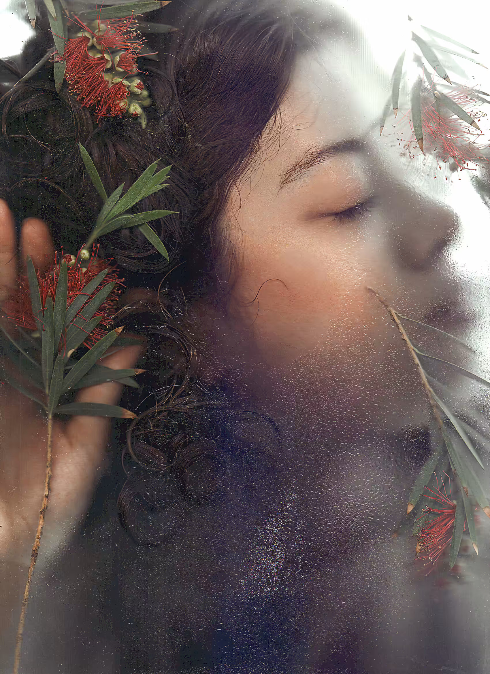 Soft Obscura