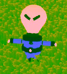 STEWY EWY