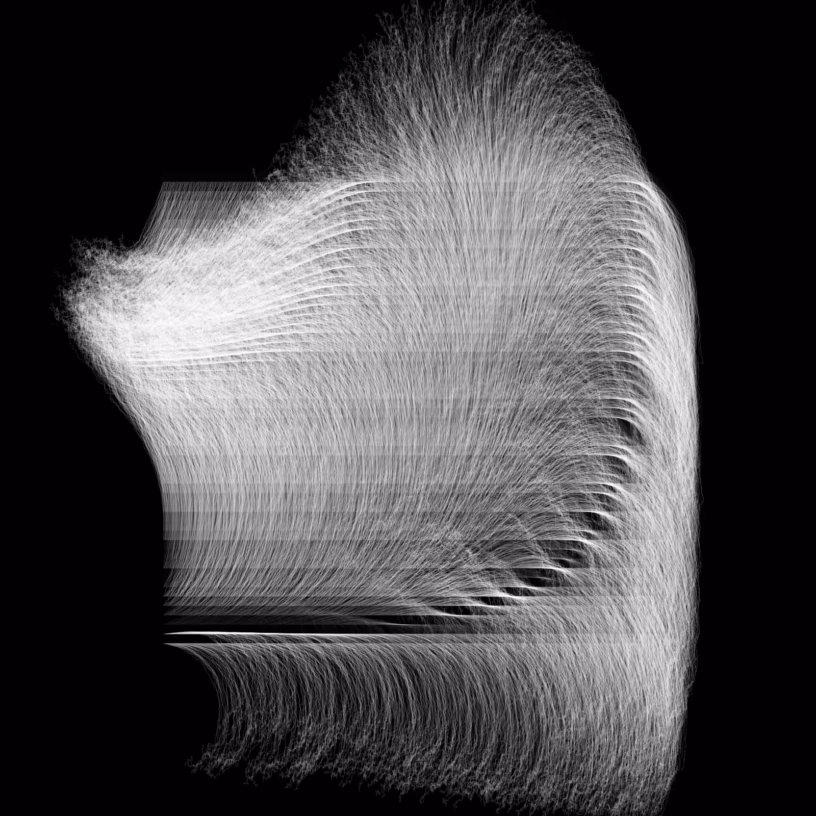 polywaves of luck
