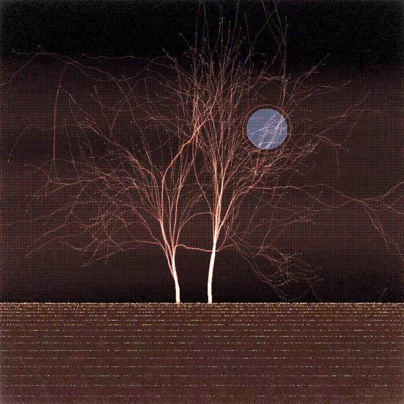 winter trees #20