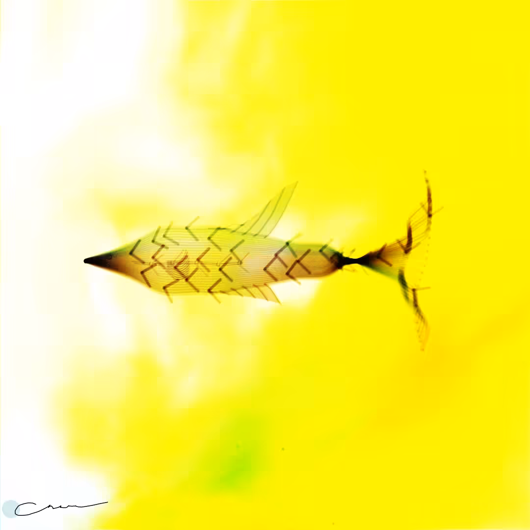 SoulFish #127