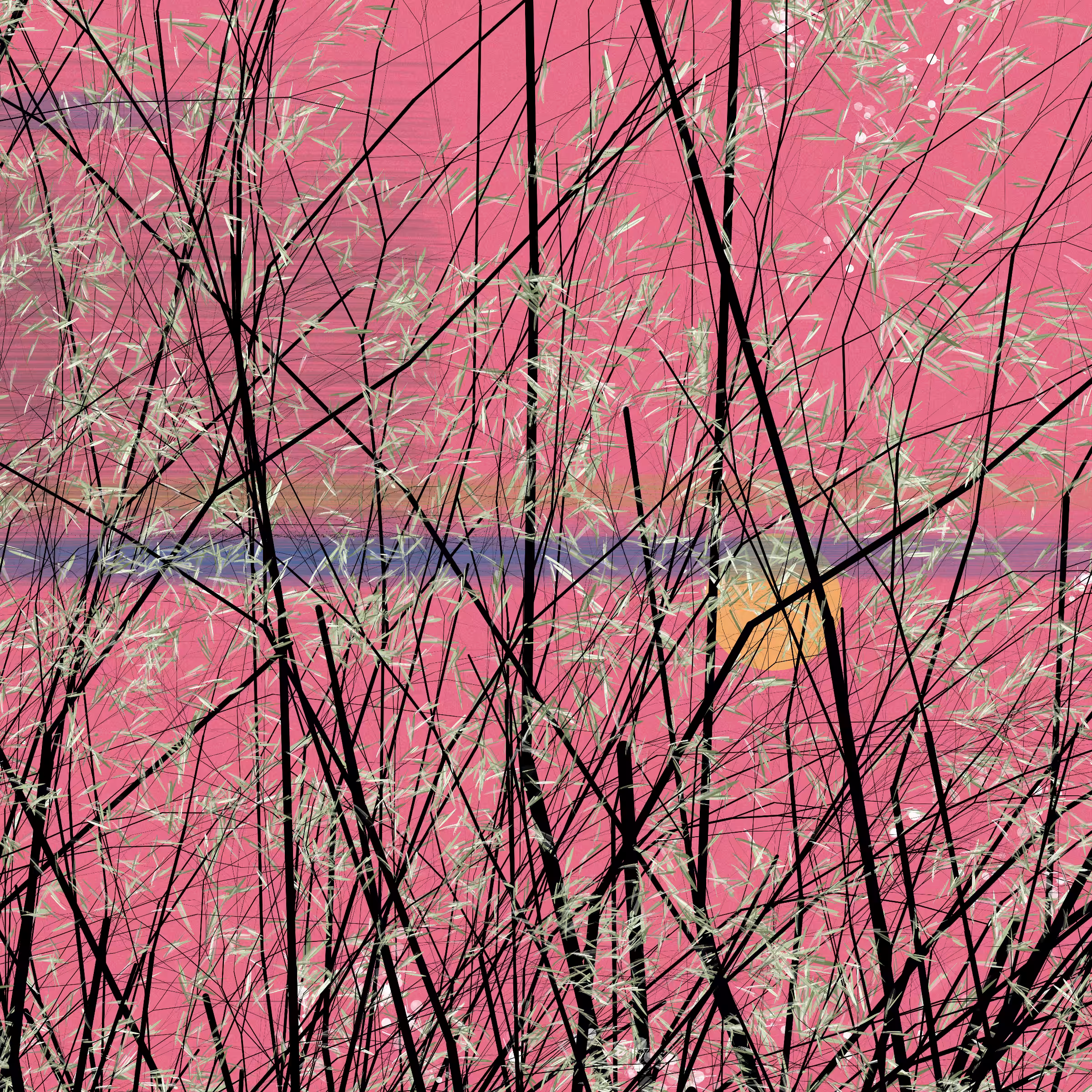 conversation with the wind #656