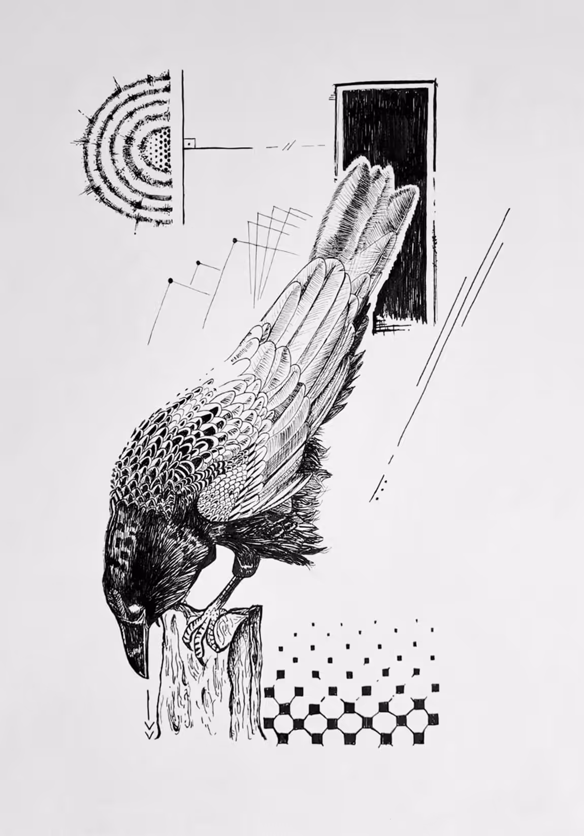 Another Dimension - Raven