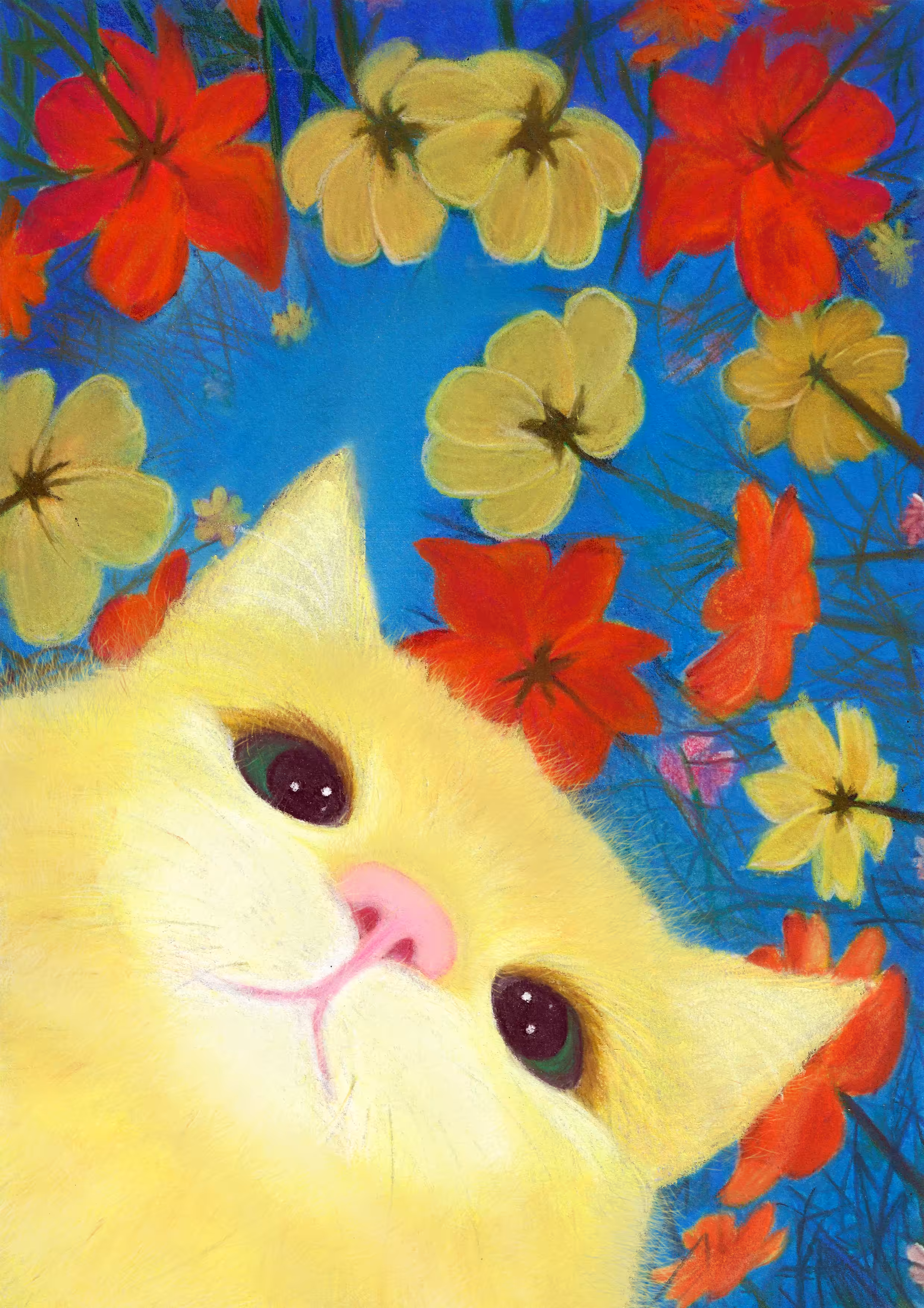 nose