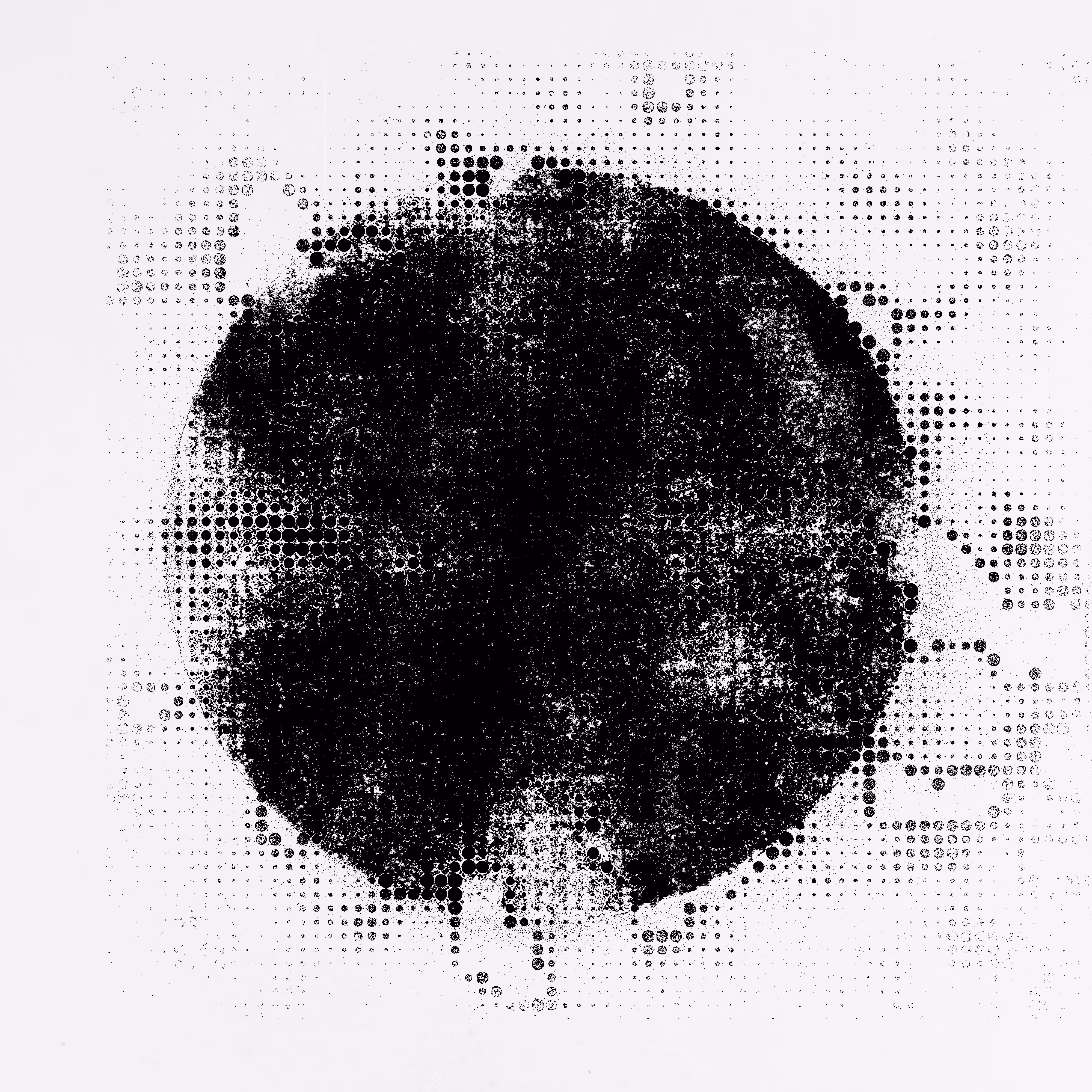 Form 01