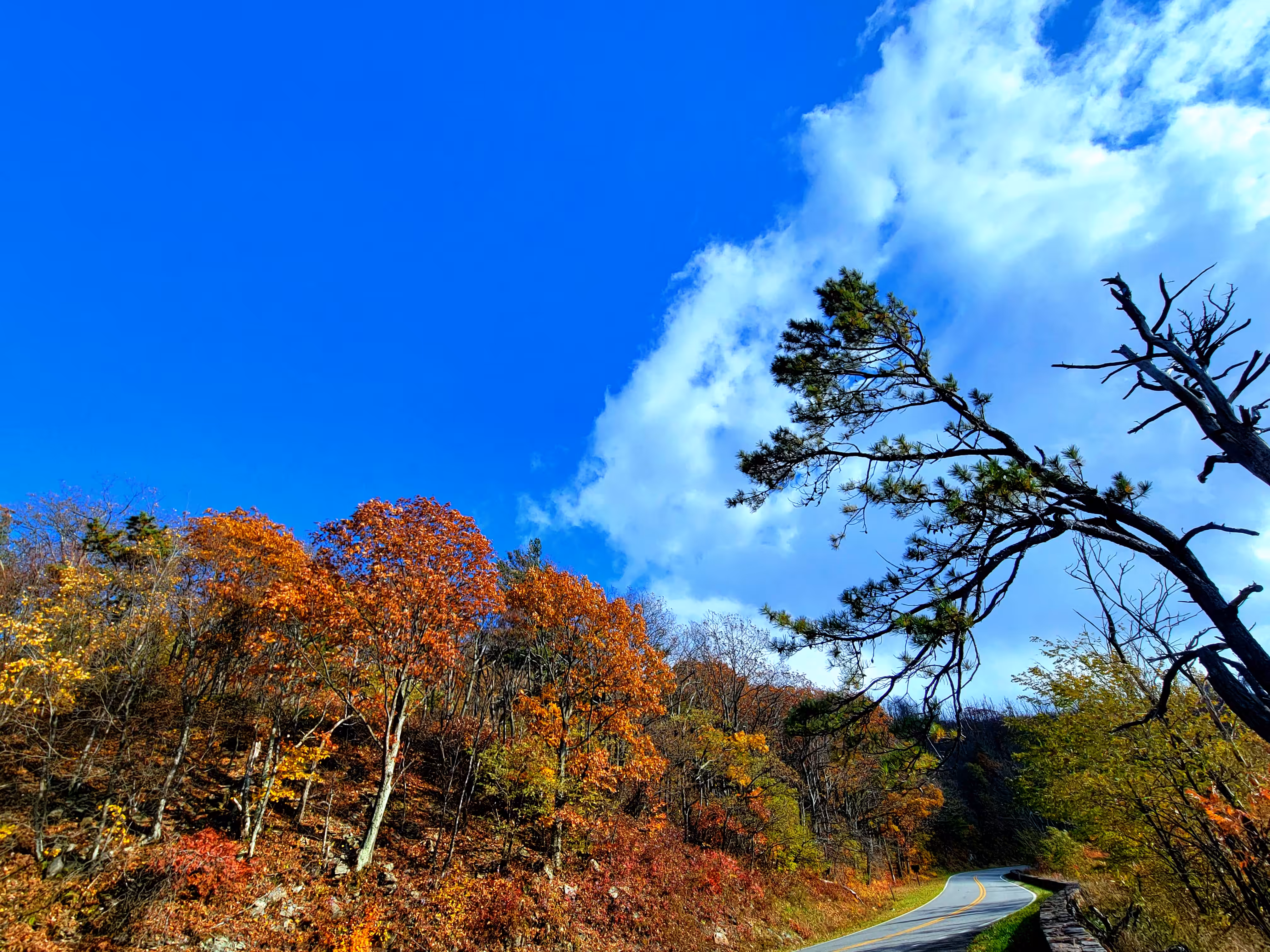Skyline Drive