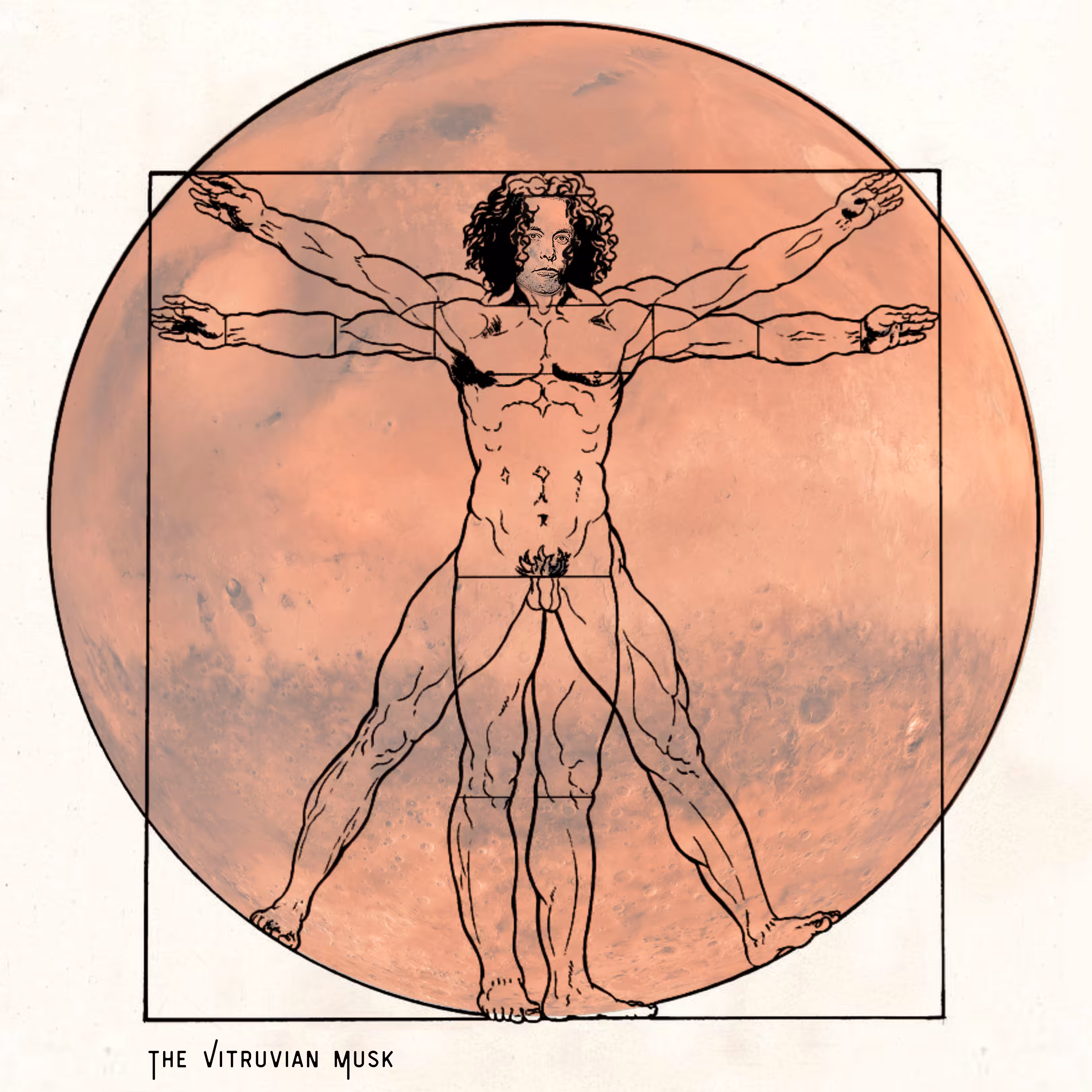 The Vitruvian Musk
