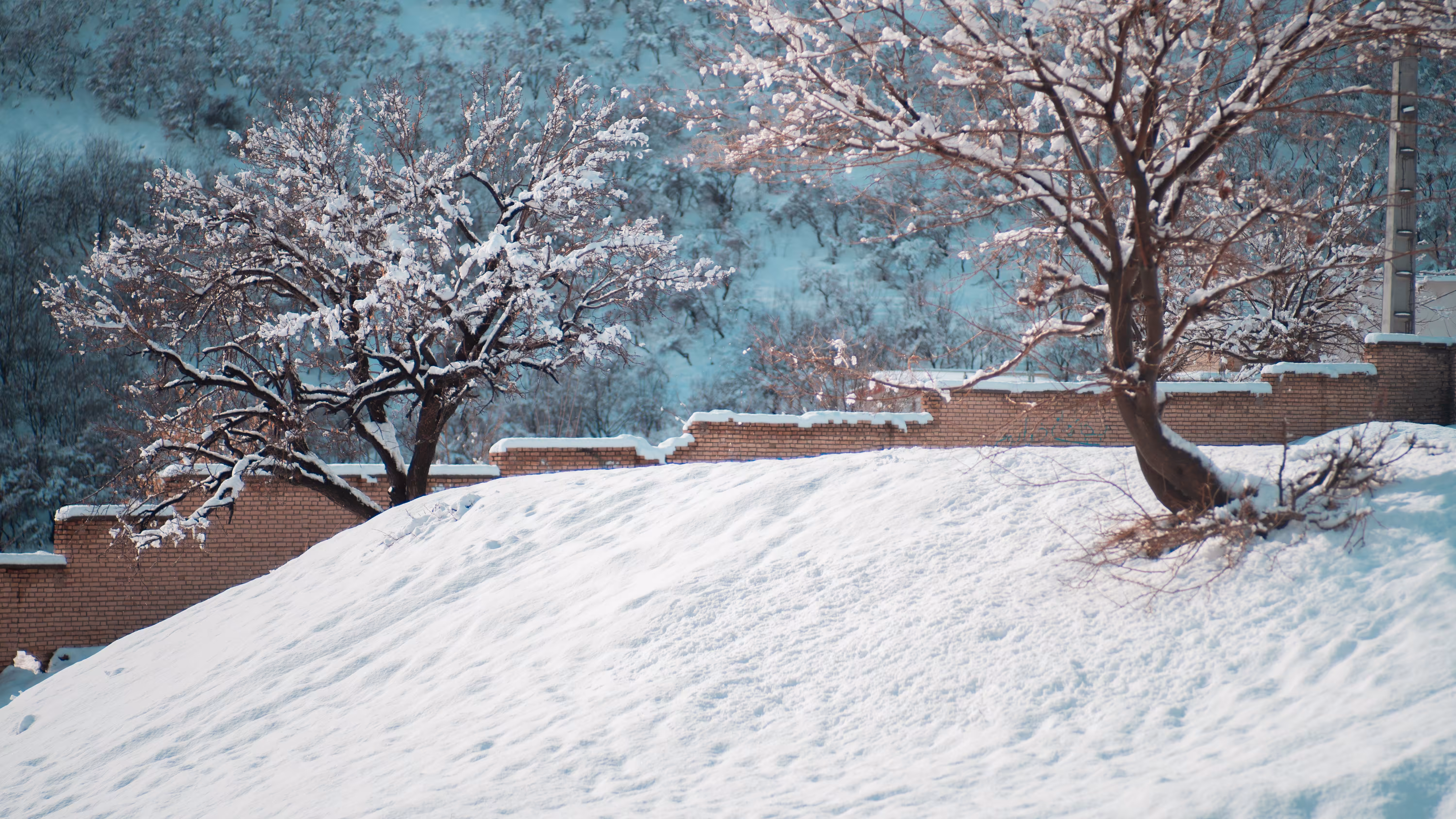 spring in winter