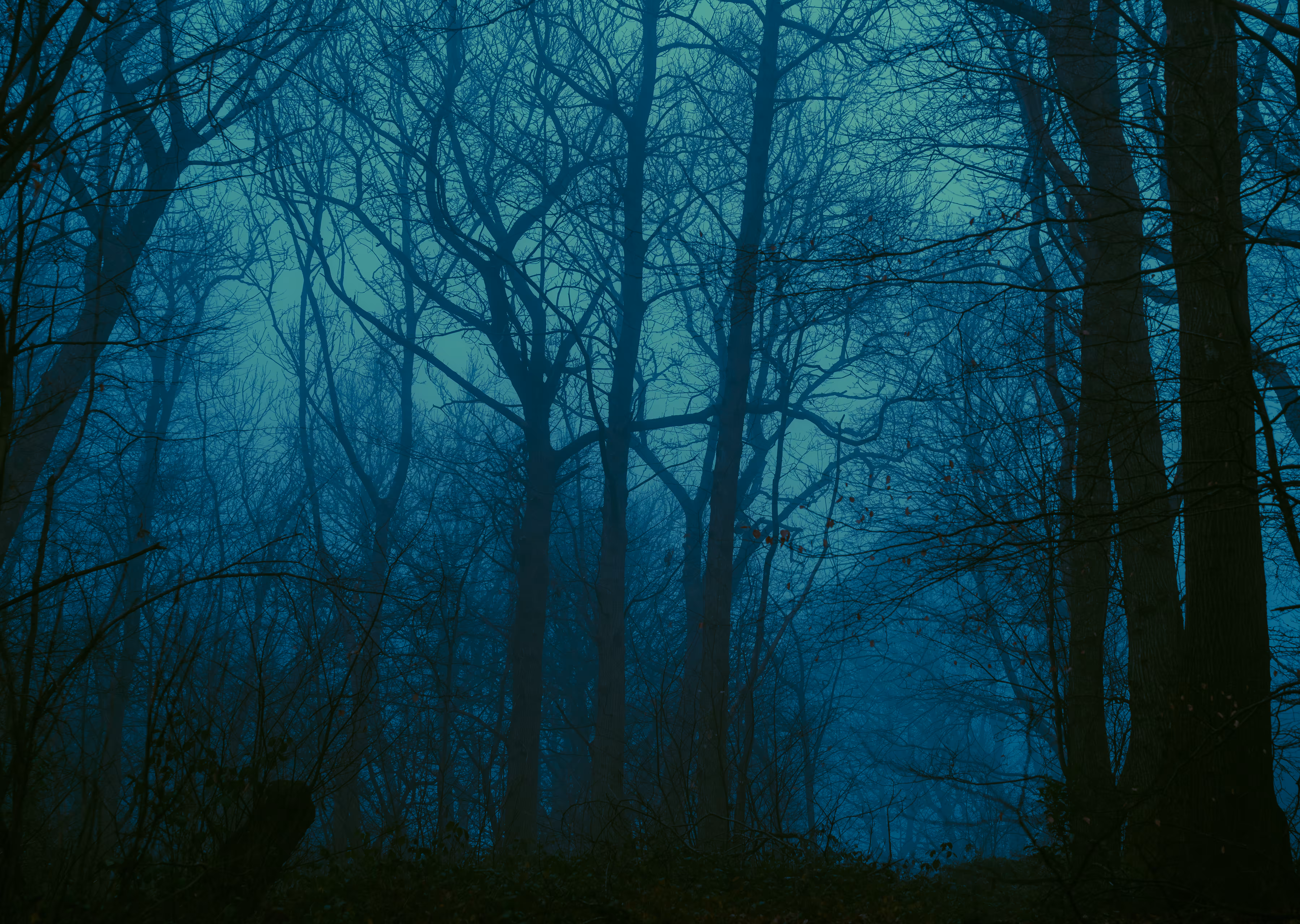 Blue vision