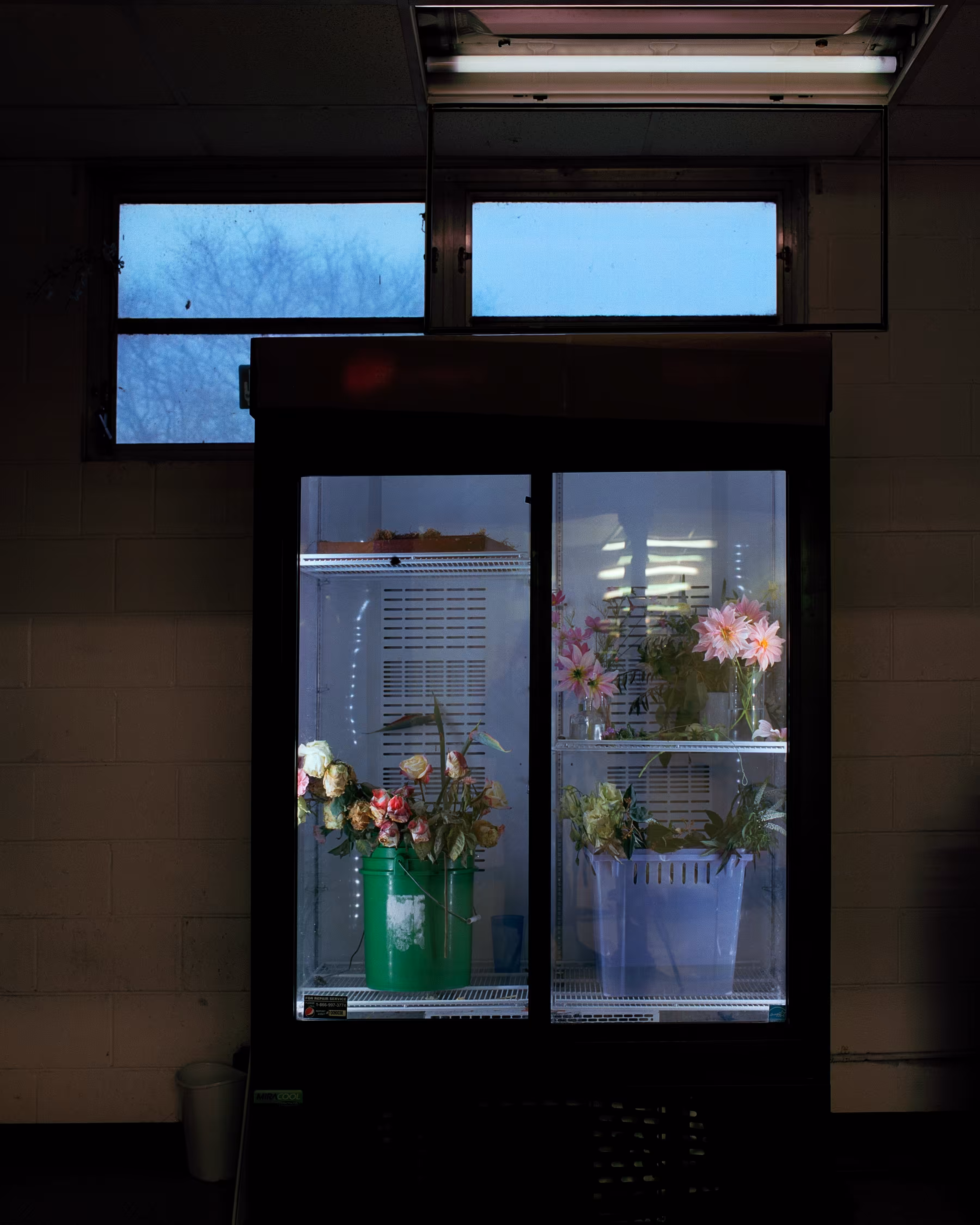 Talisman - Fridge of Flowers
