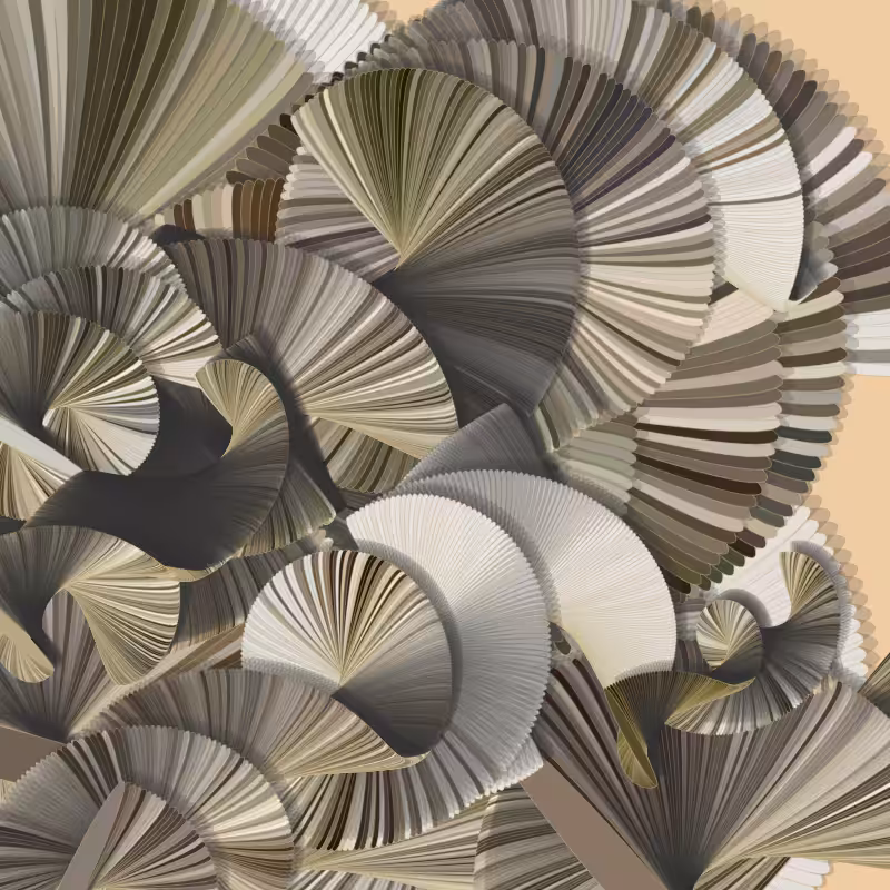 Seashells #39