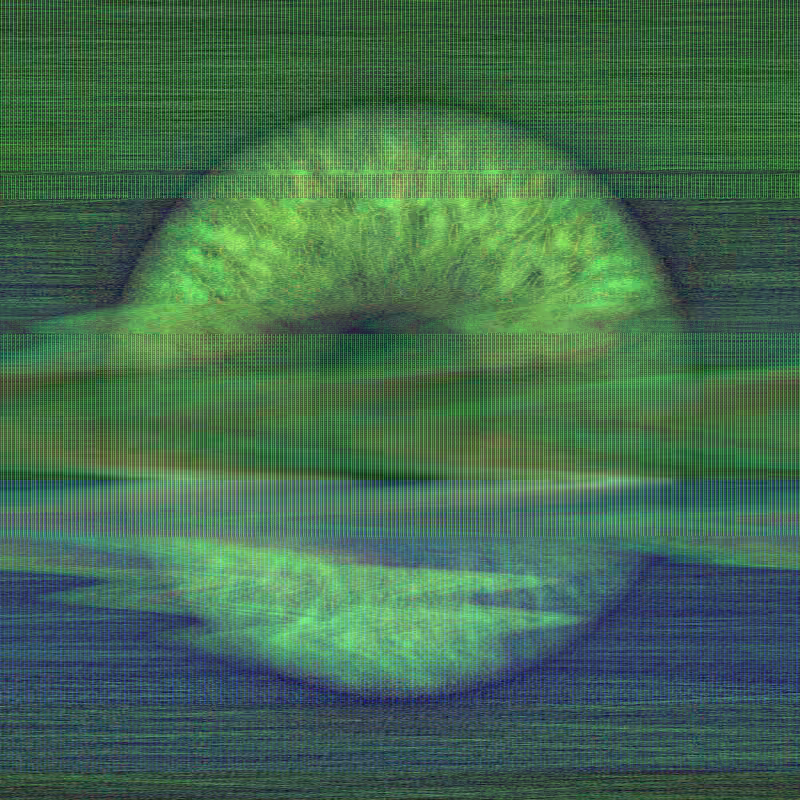 Distorted Vision #16