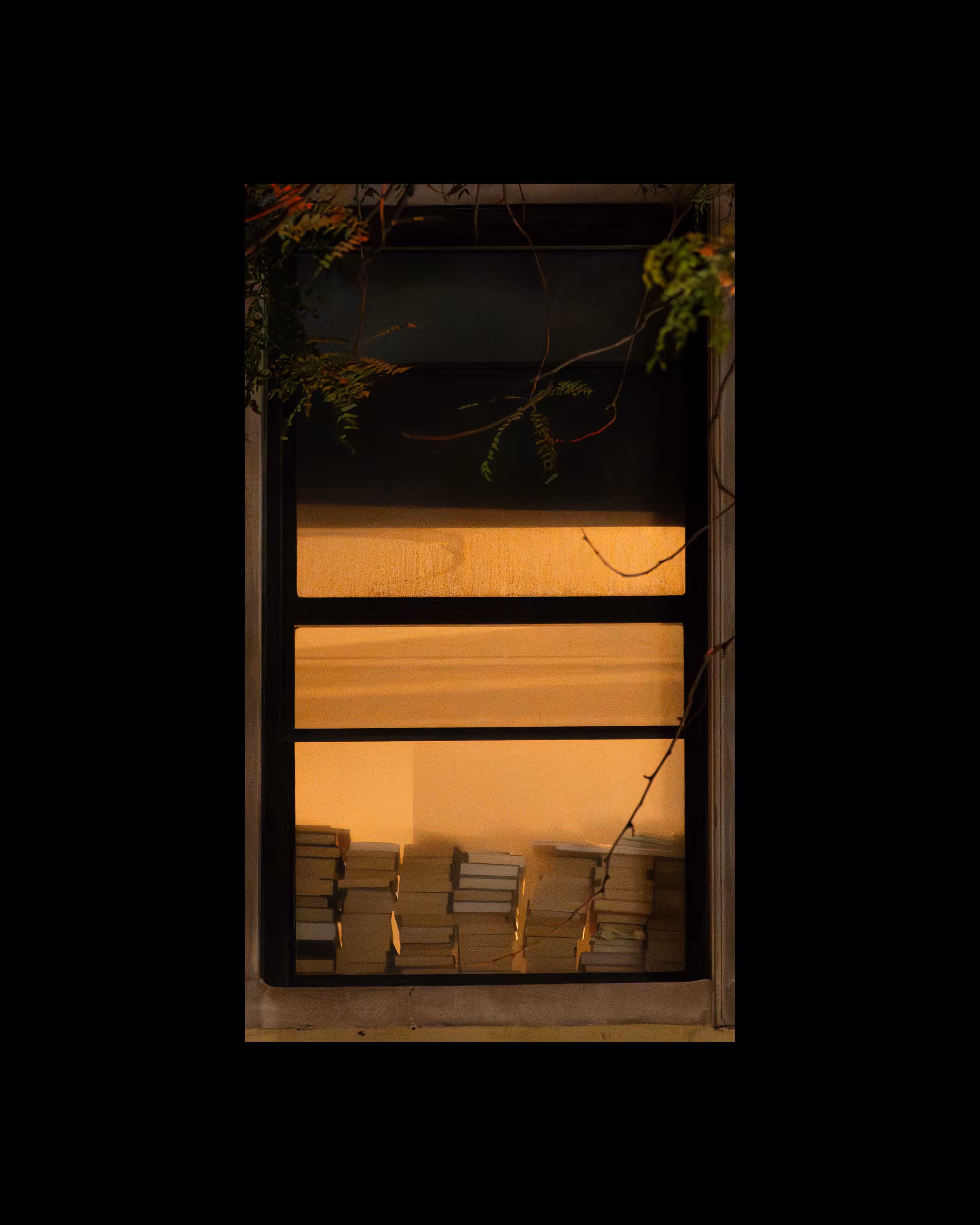 WINDOW 866
