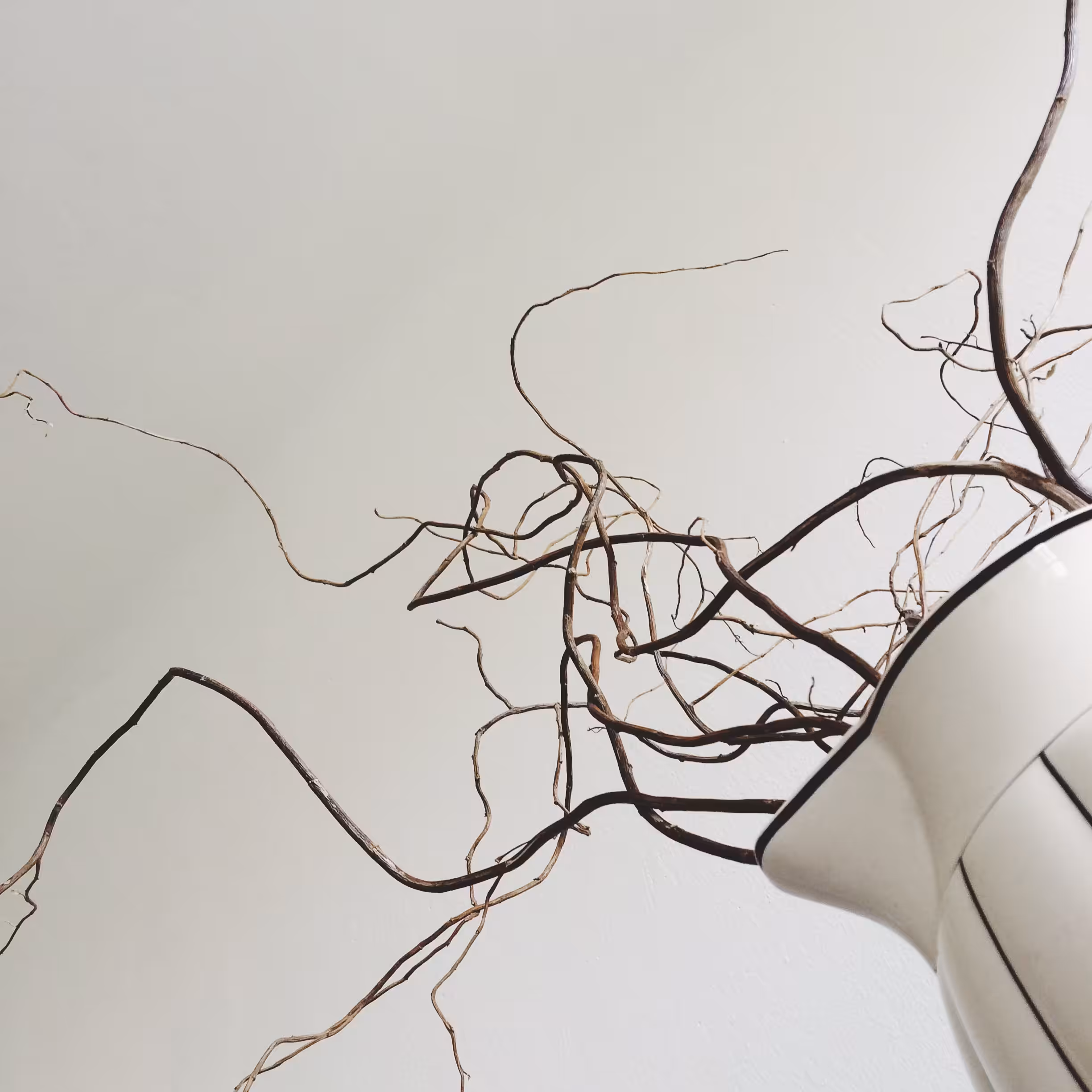 Branches