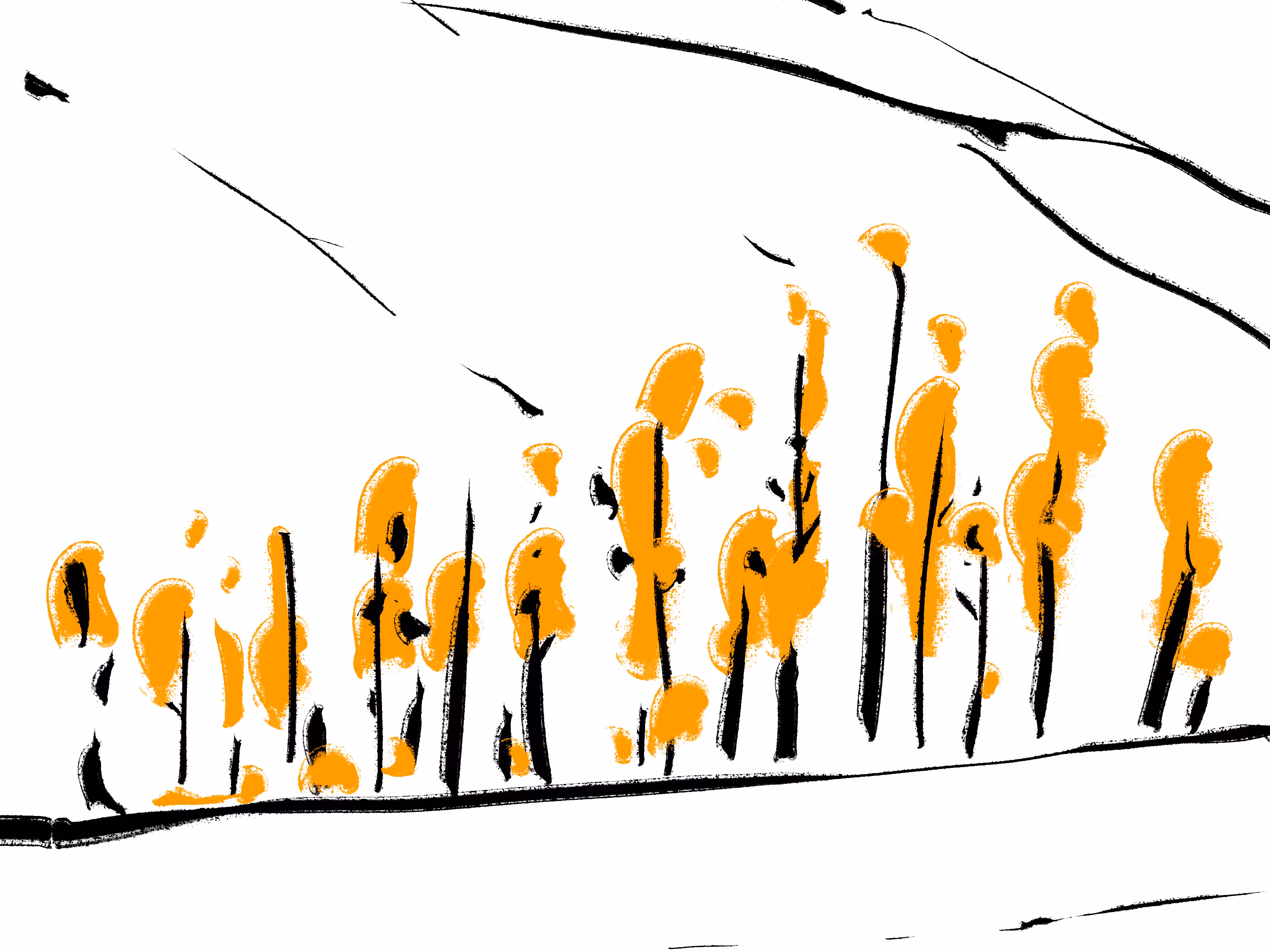 Autumn-06