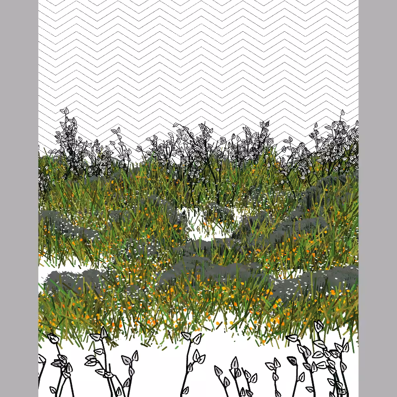 Contours #59