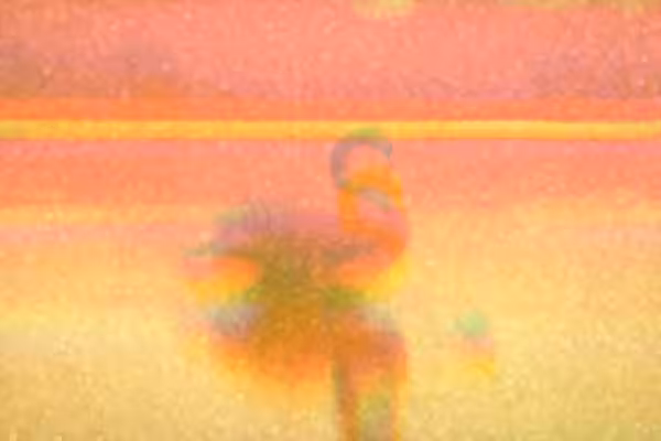 Untitled4 (From Darshan Serie) #1/10