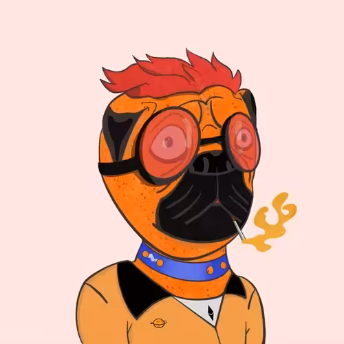 Planet Doge wars