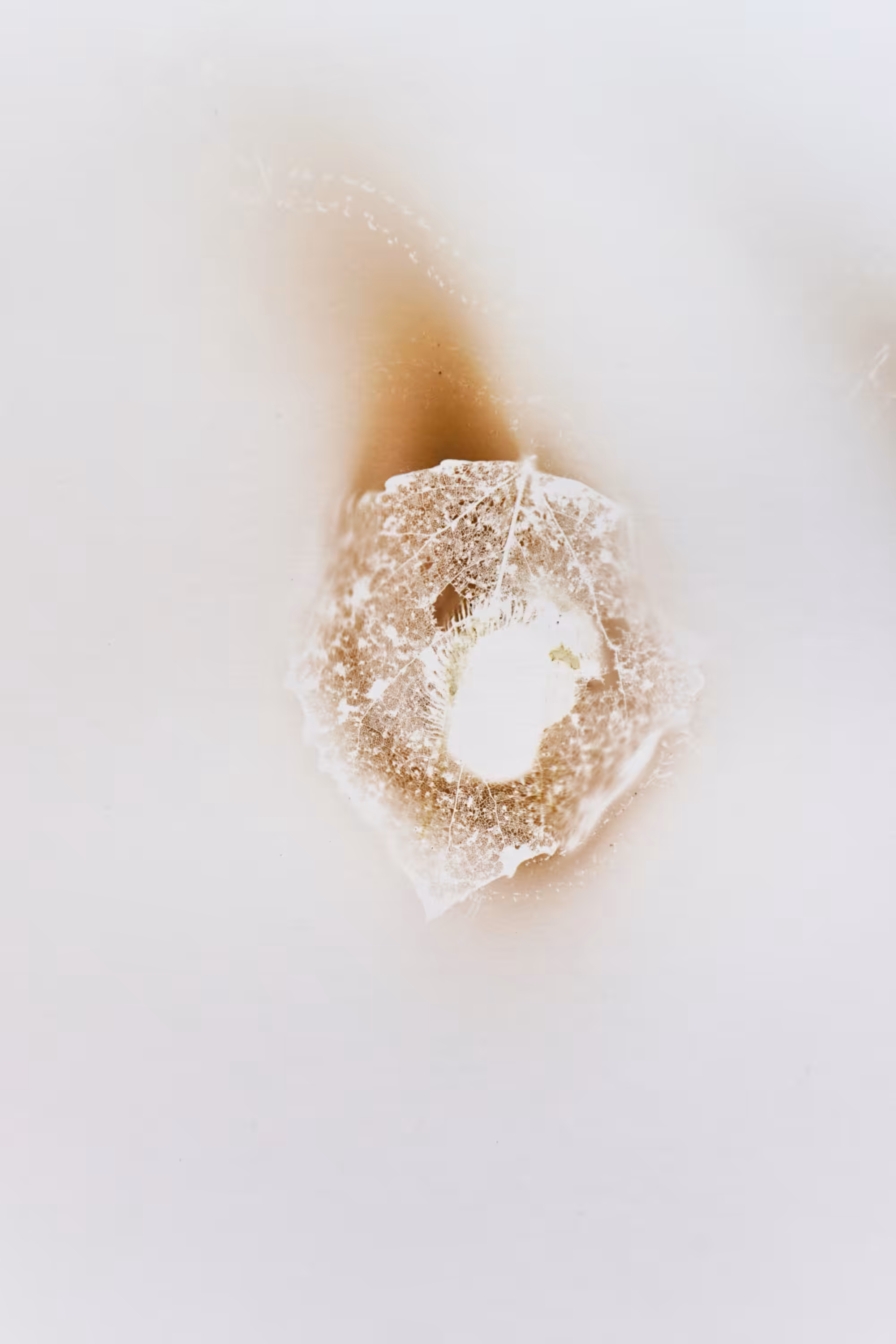Fingerprint 05