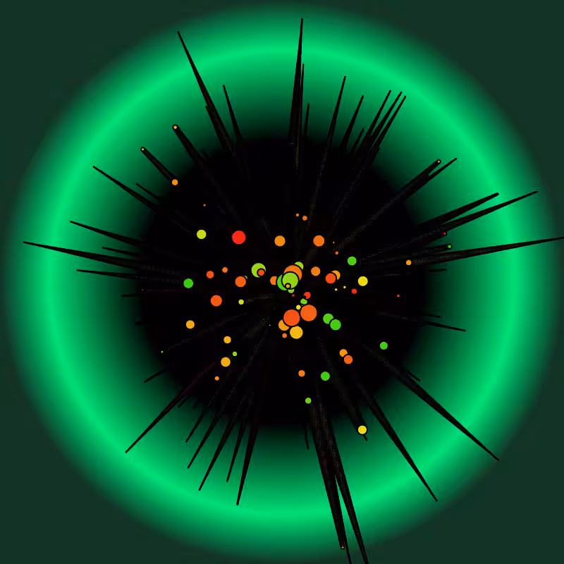 The Urchin #6