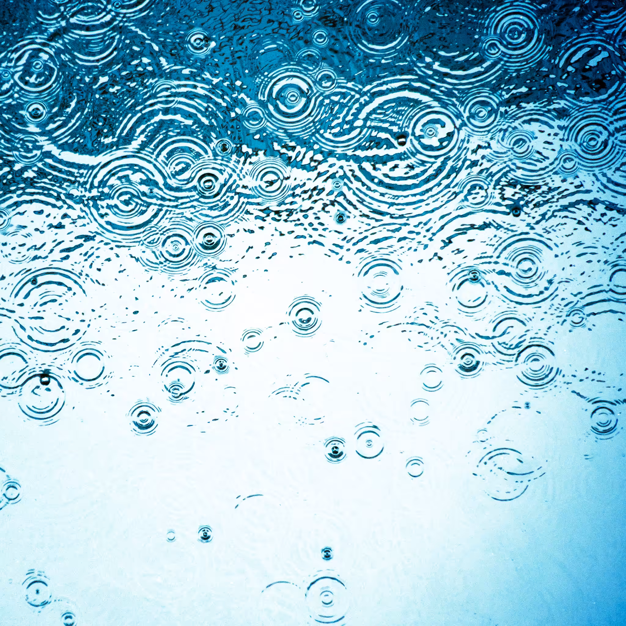 Rain SqB