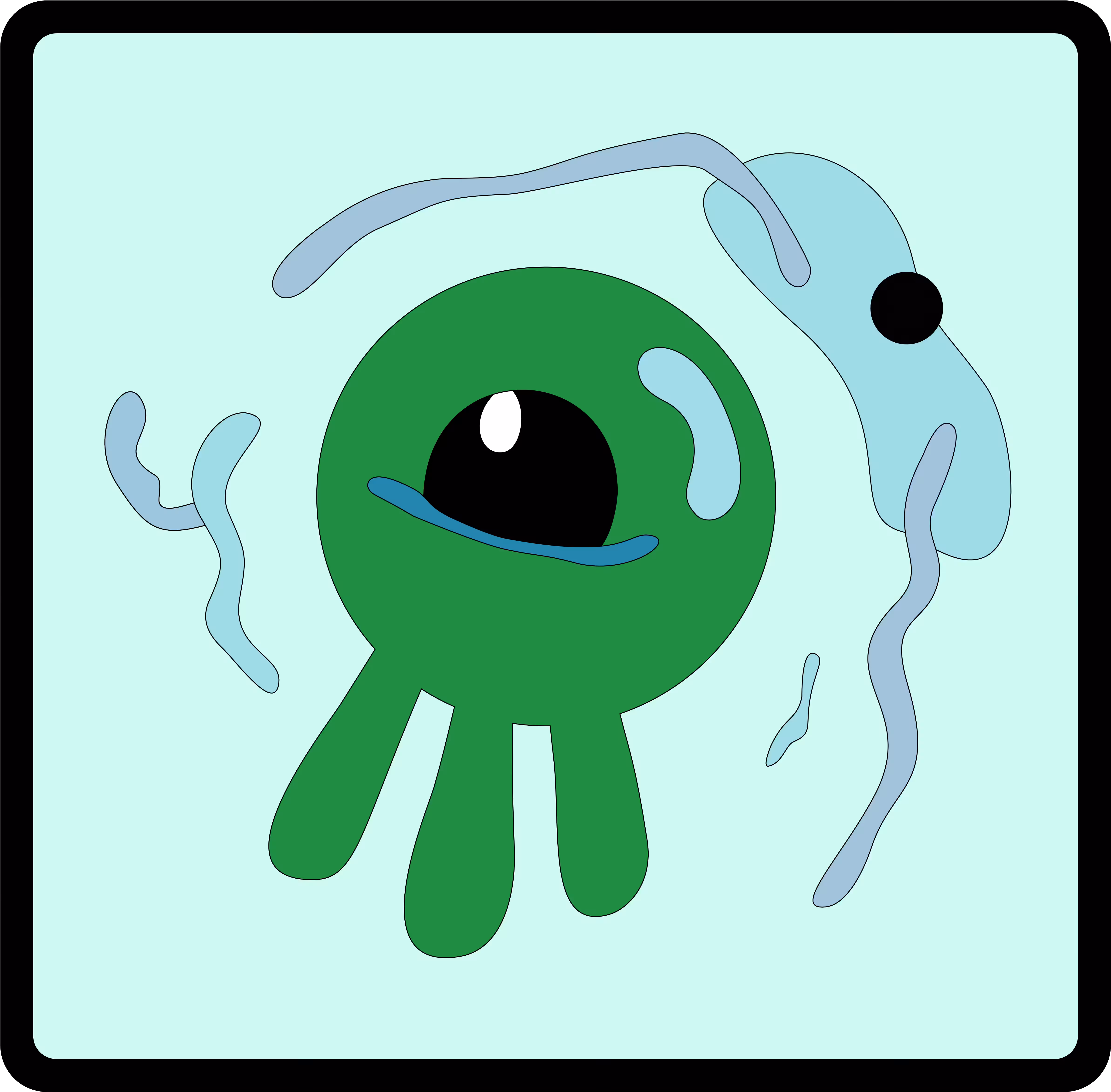 @calldata