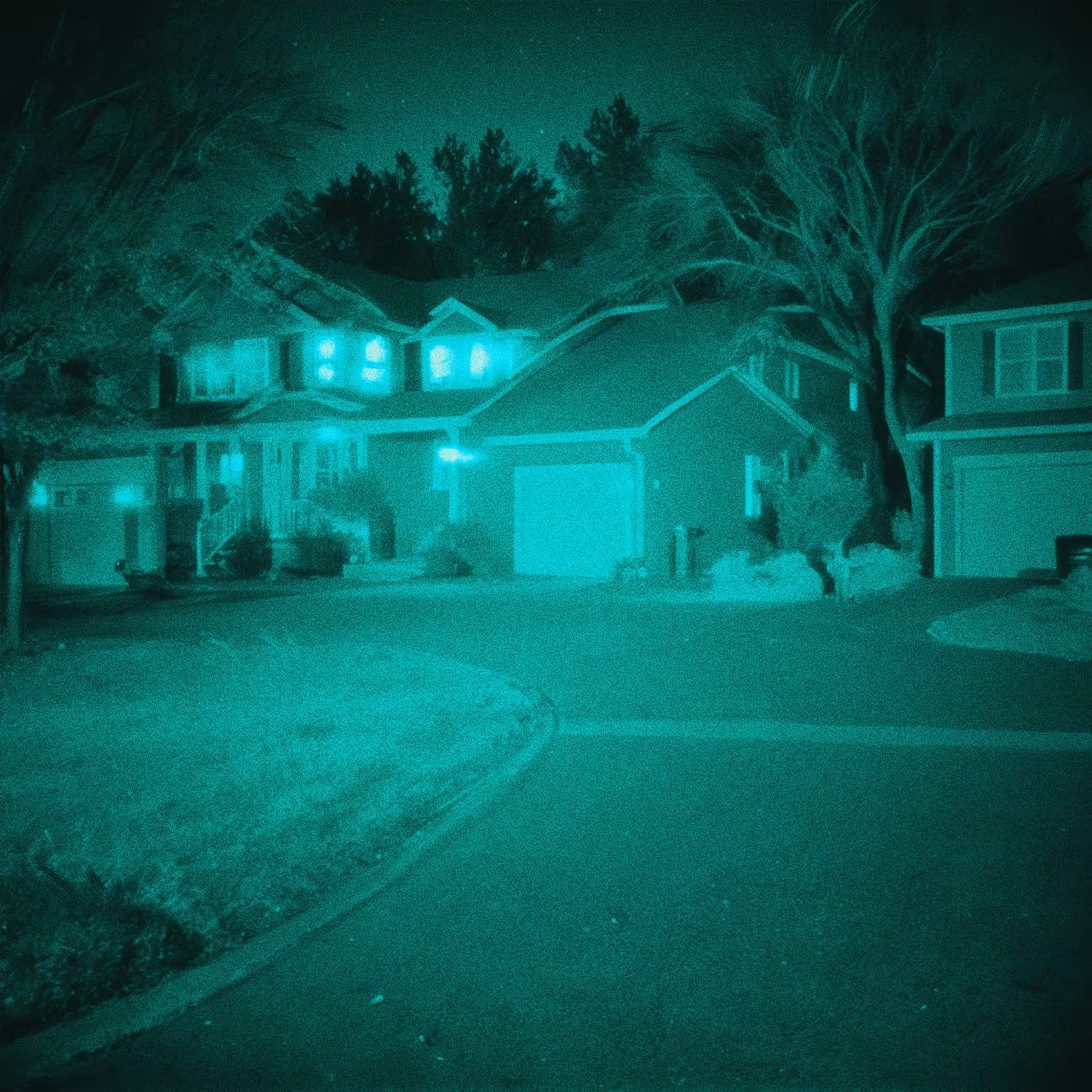 02_the_suburbs