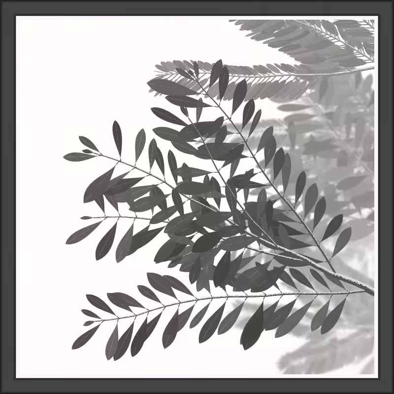 White Night Vol.1 #25