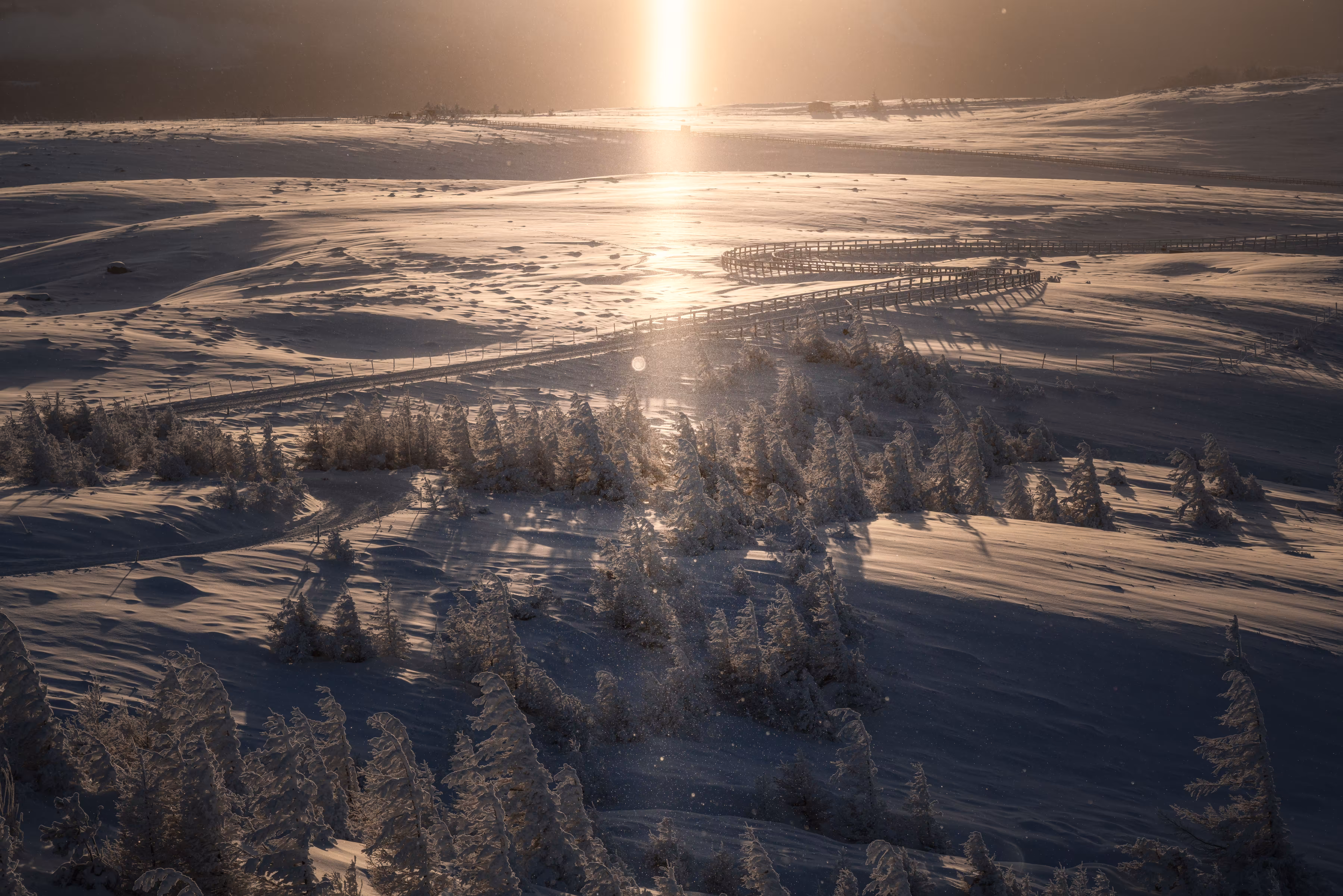 Fortune Light