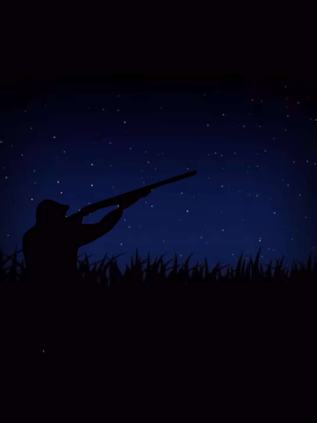 Shooting Stars