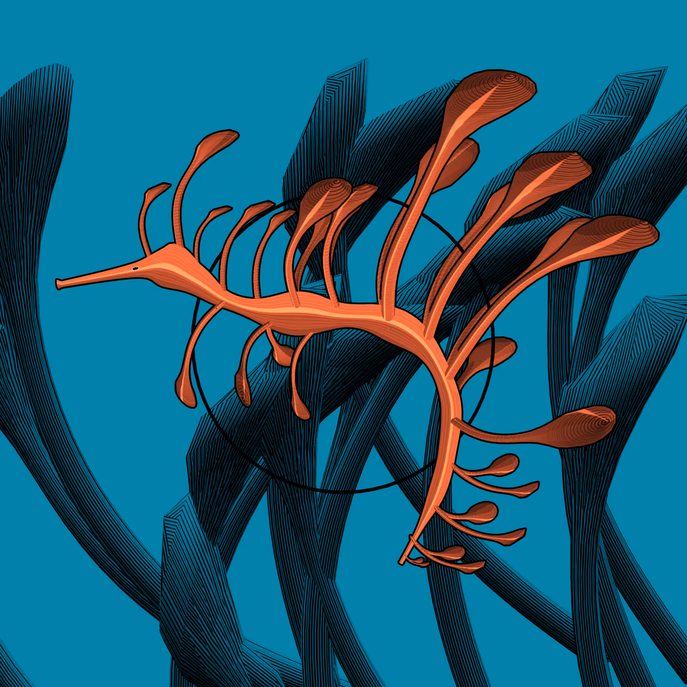 Seadragons #369