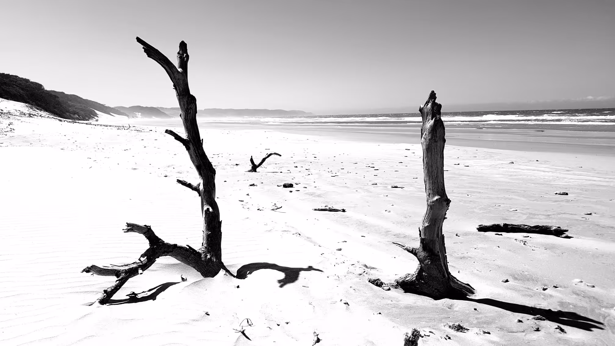 Desolate