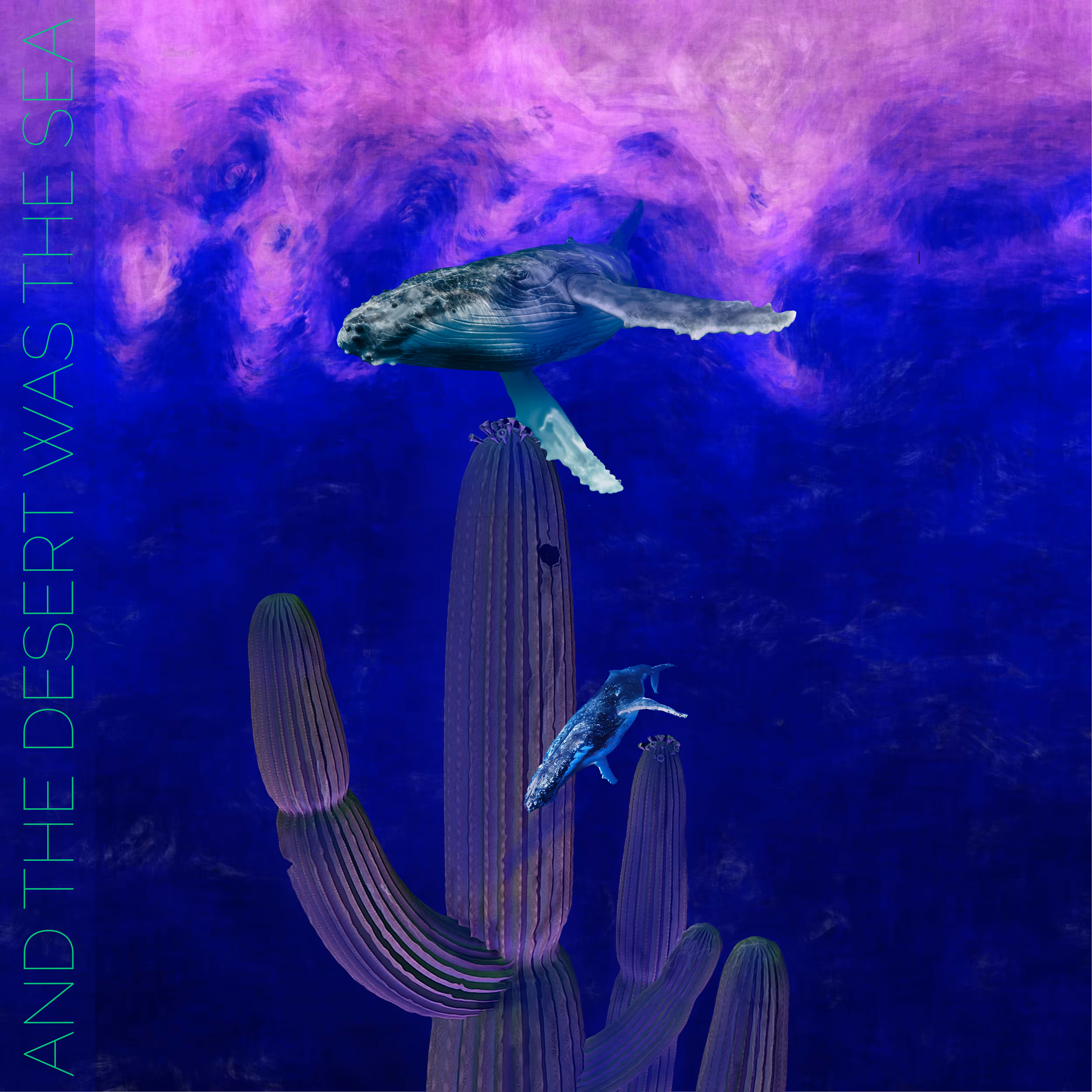 And The Desert Was The Sea: JADE