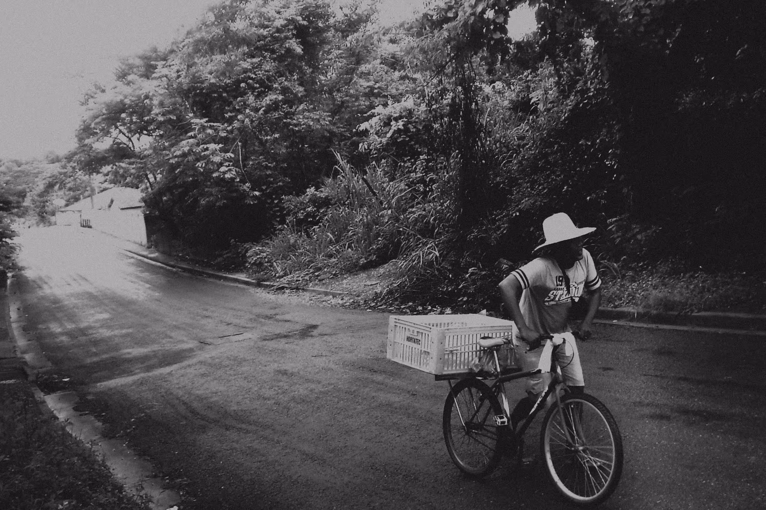 lonely road