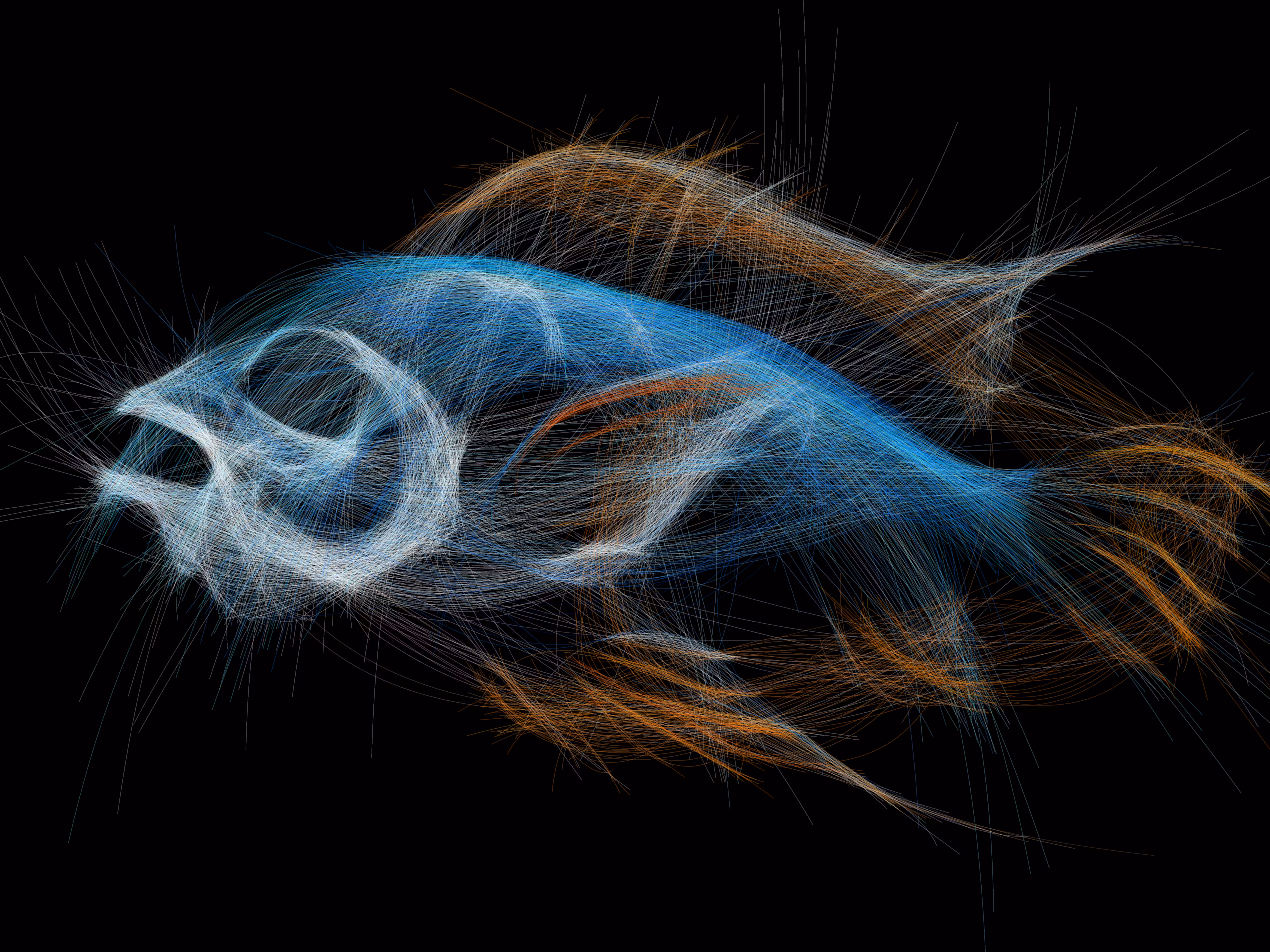 Underwater 317
