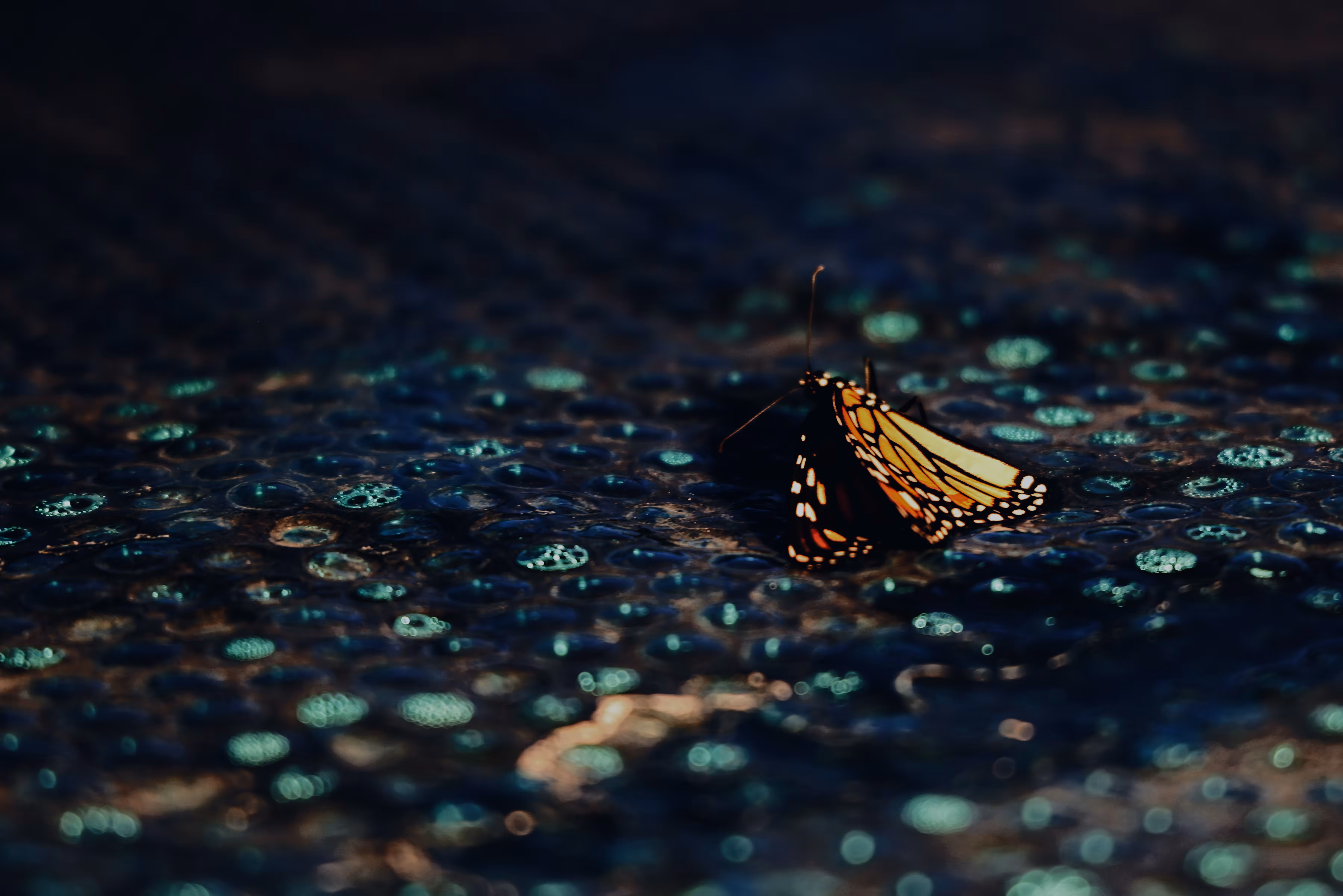 _by chance