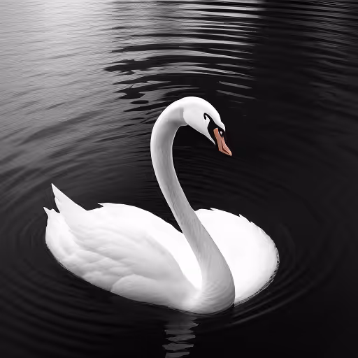 Swan Lake 3
