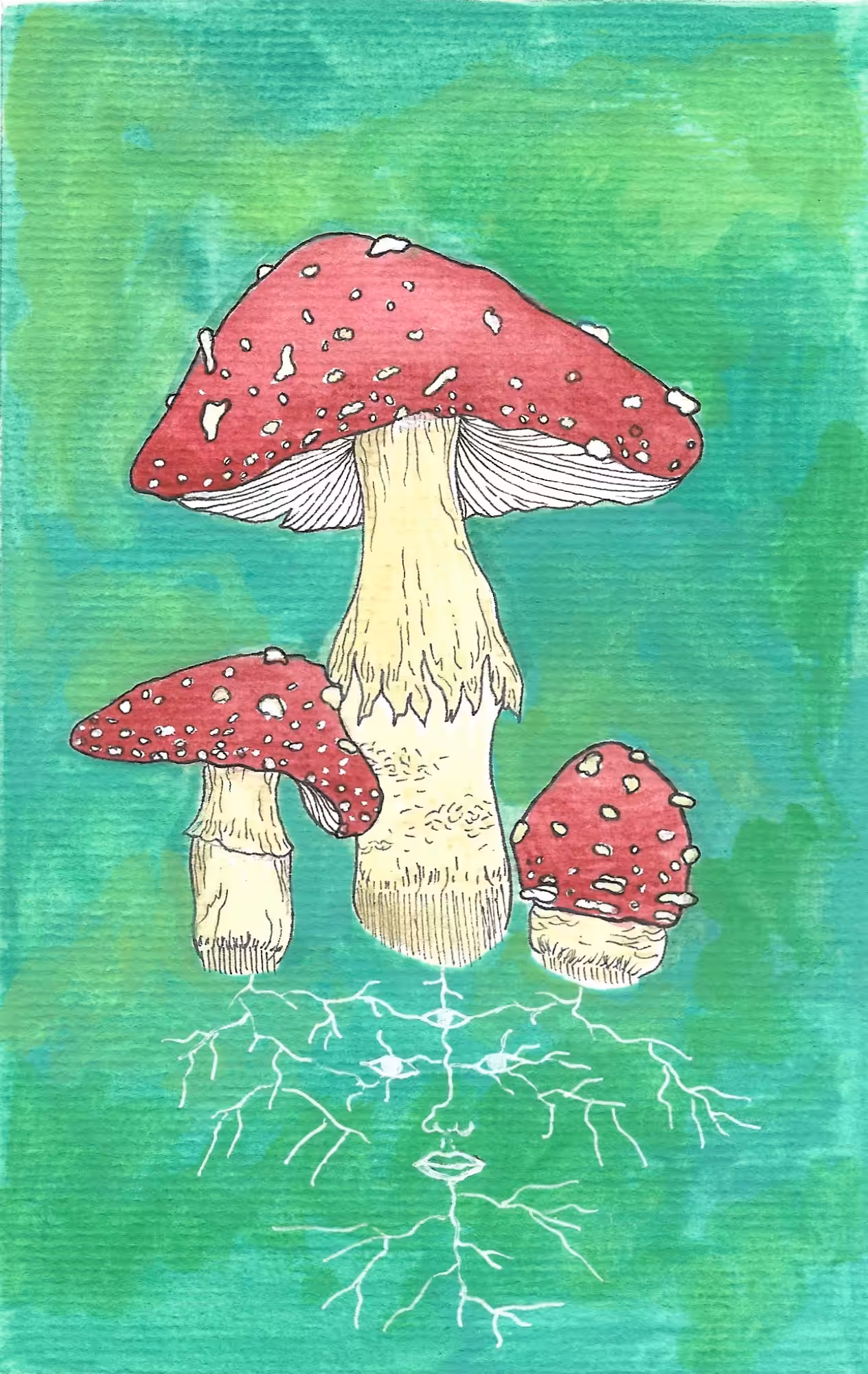 Amanita Muscaria 