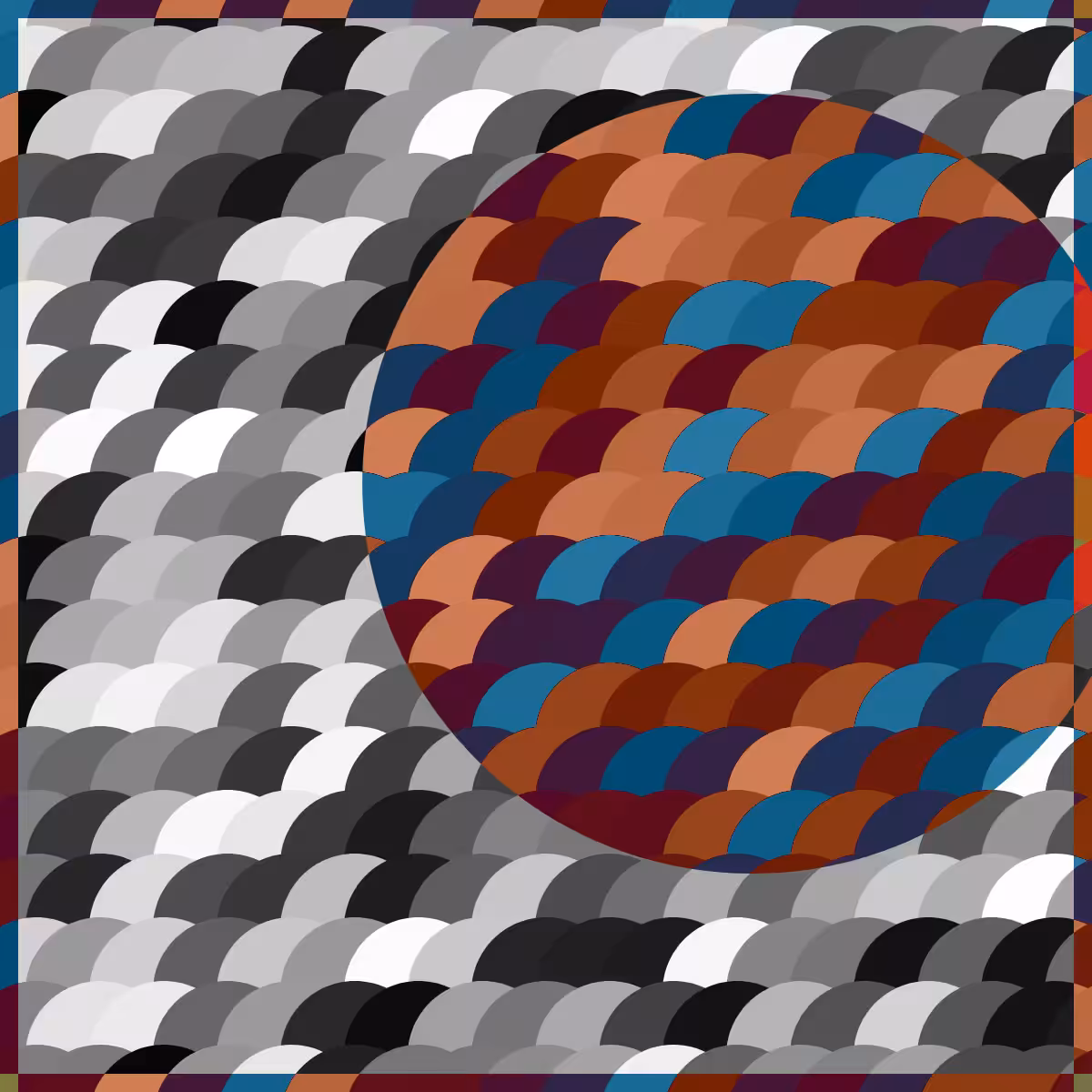 Magnify #27