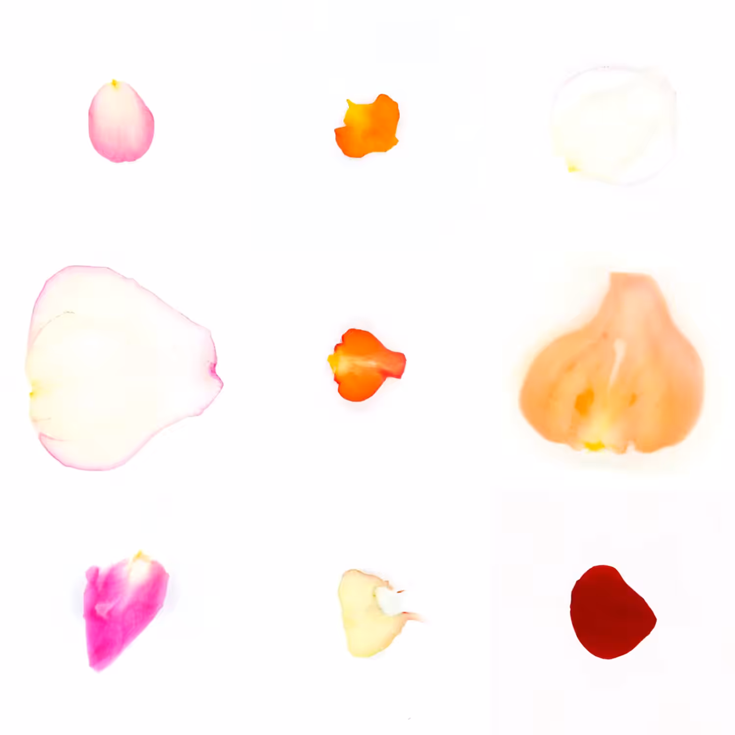 Infinite Petals 3x3#807