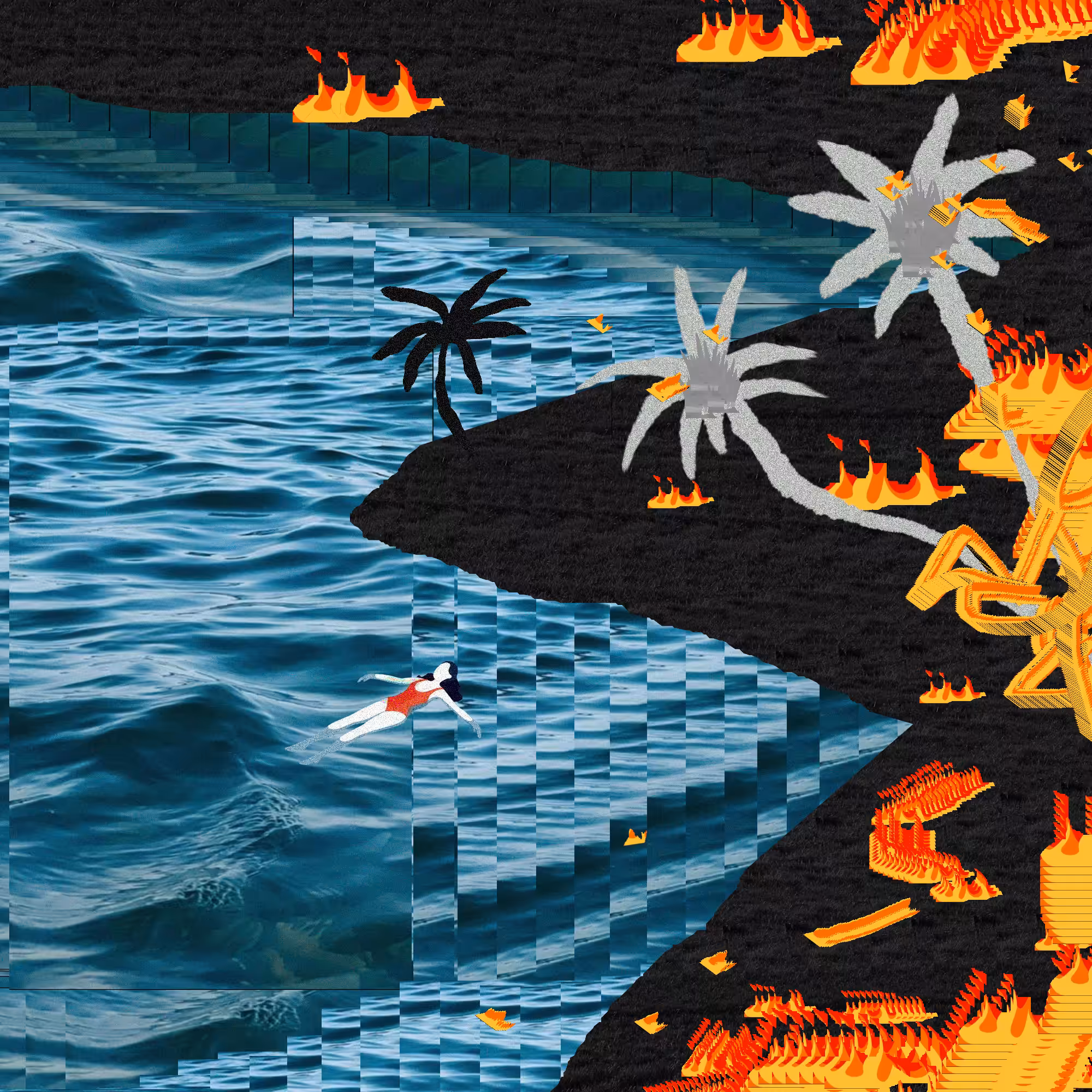 Palm Beach War
