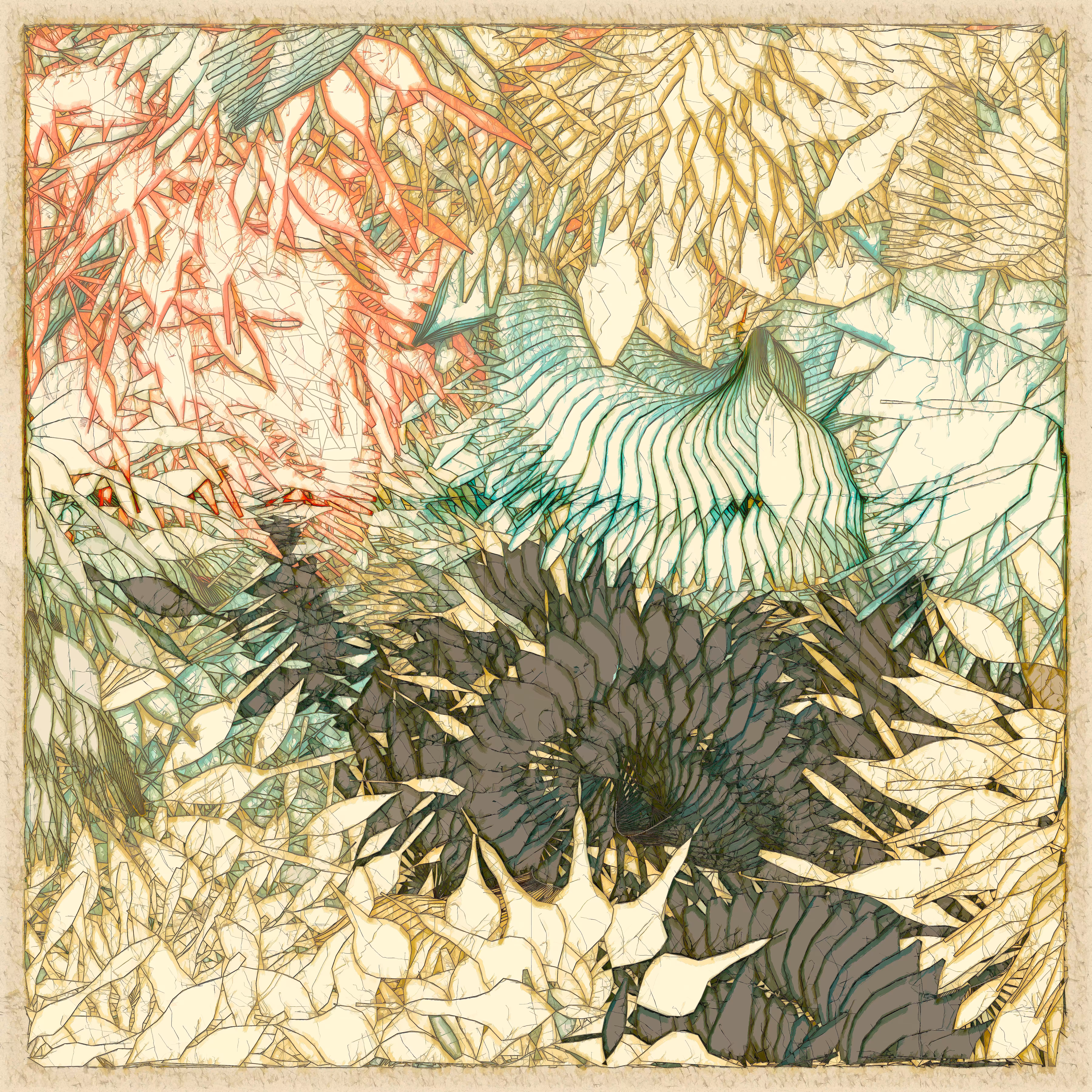 Blooming