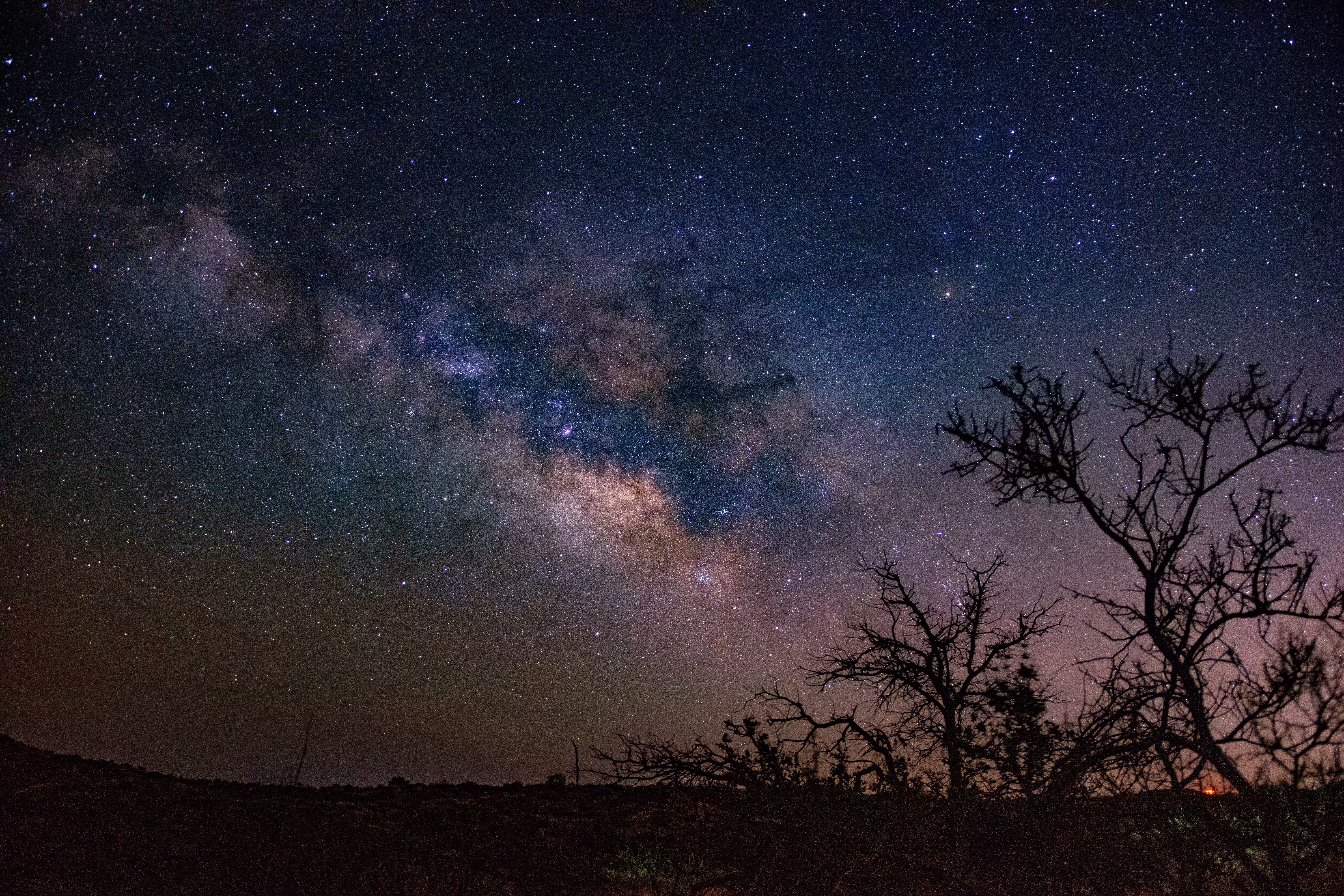 Desert Expanse