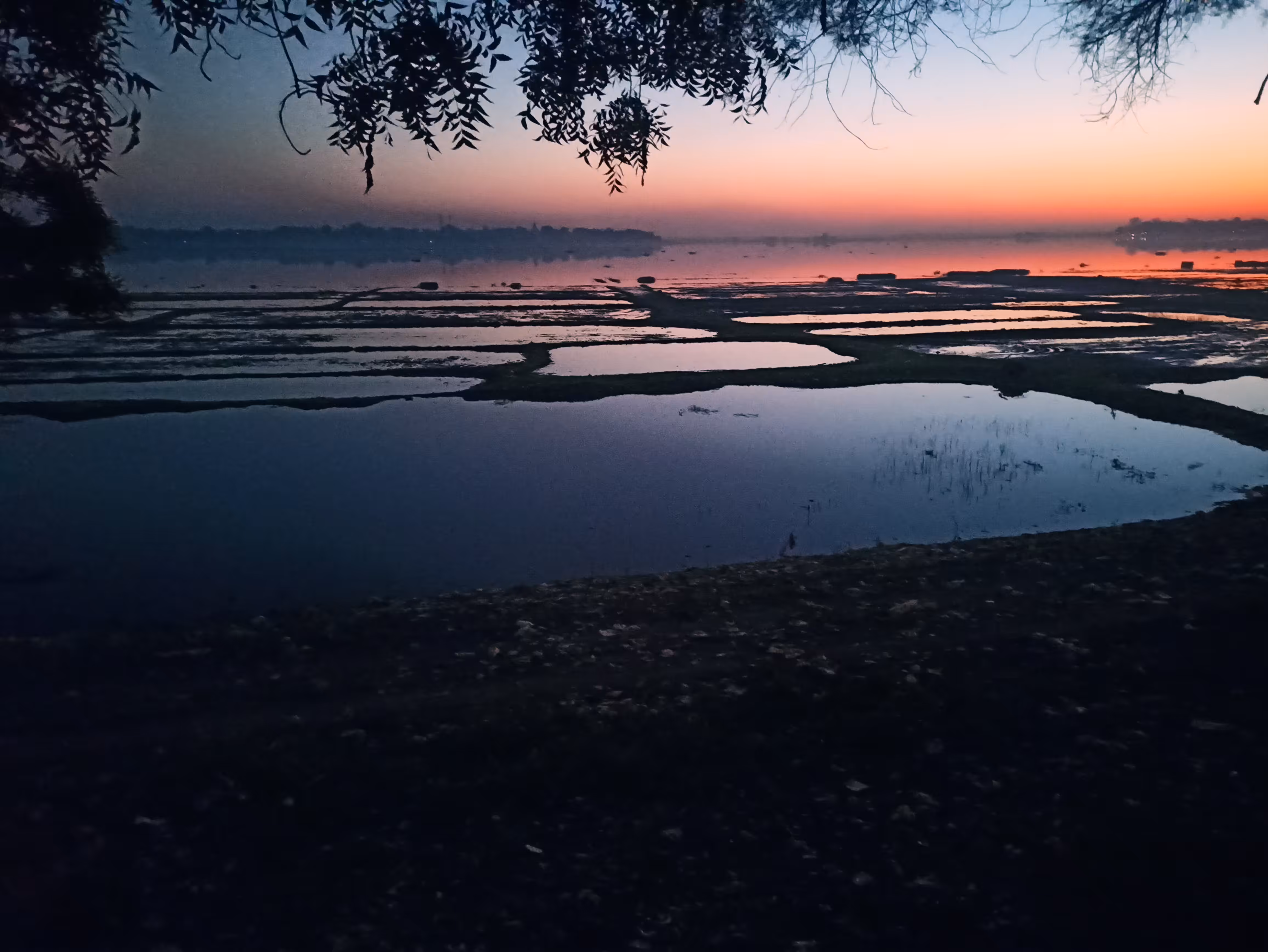 Beautiful in the evening 