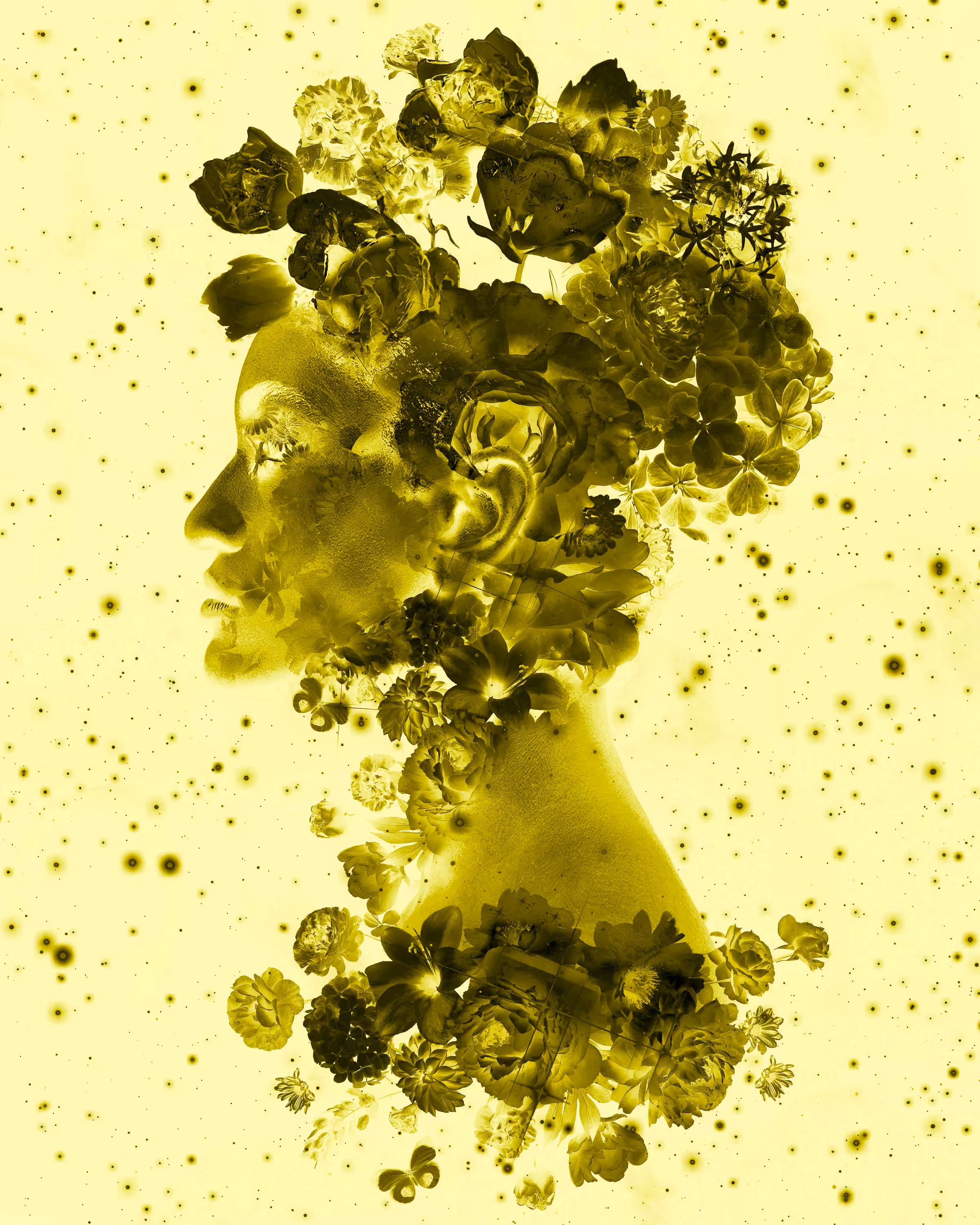 Lavender Dream: Yellow