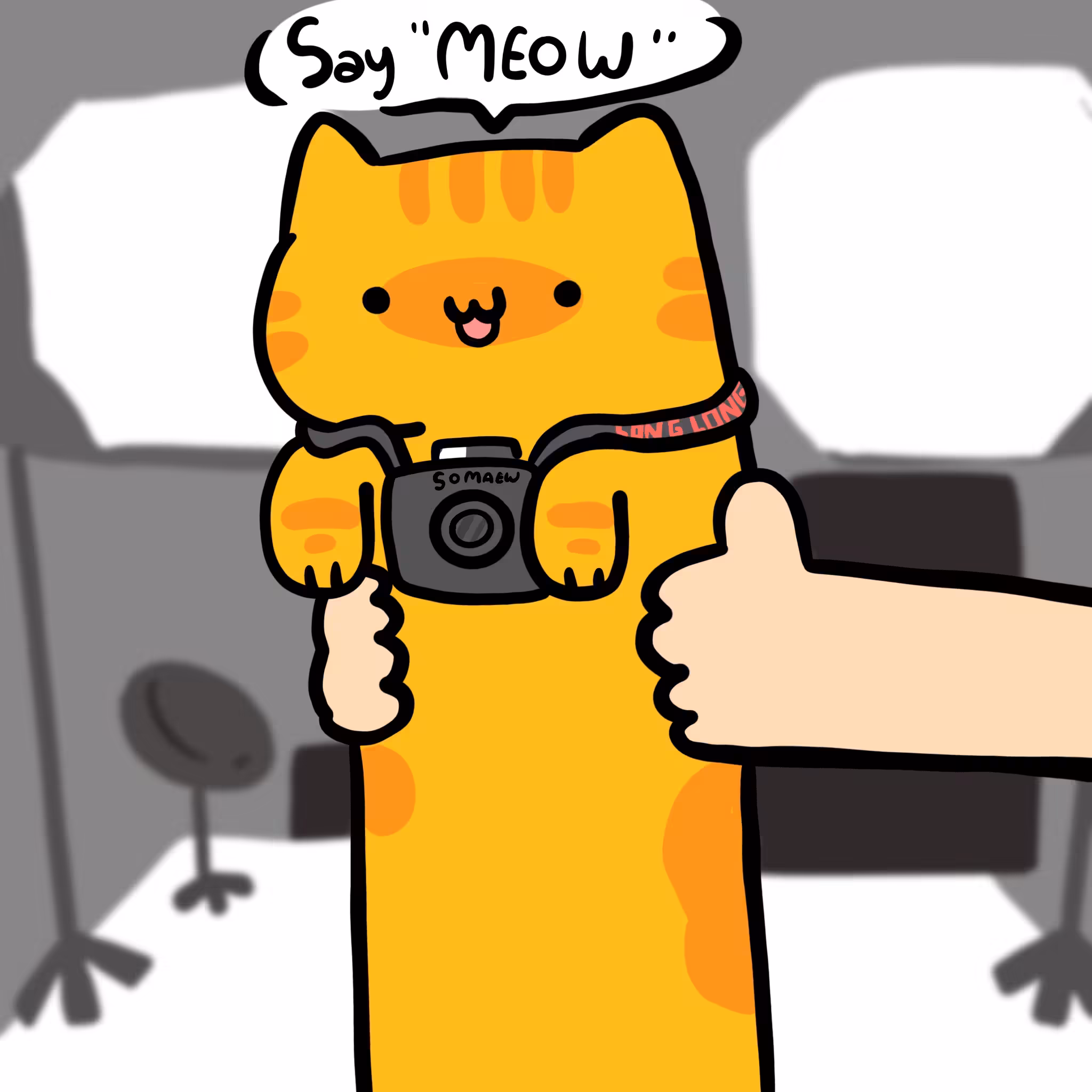 Long long camera cat #095